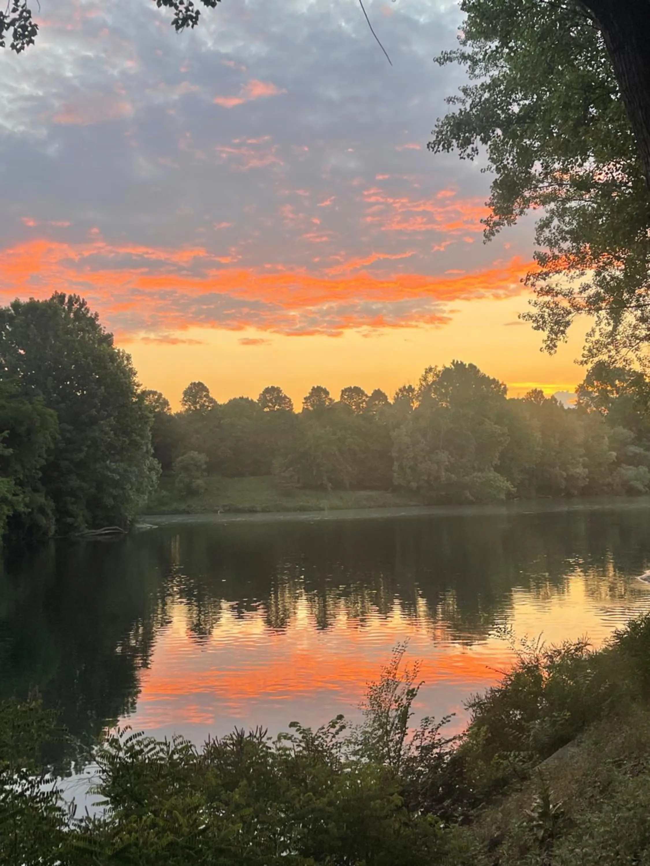 Natural landscape in Parco Hotel Sassi