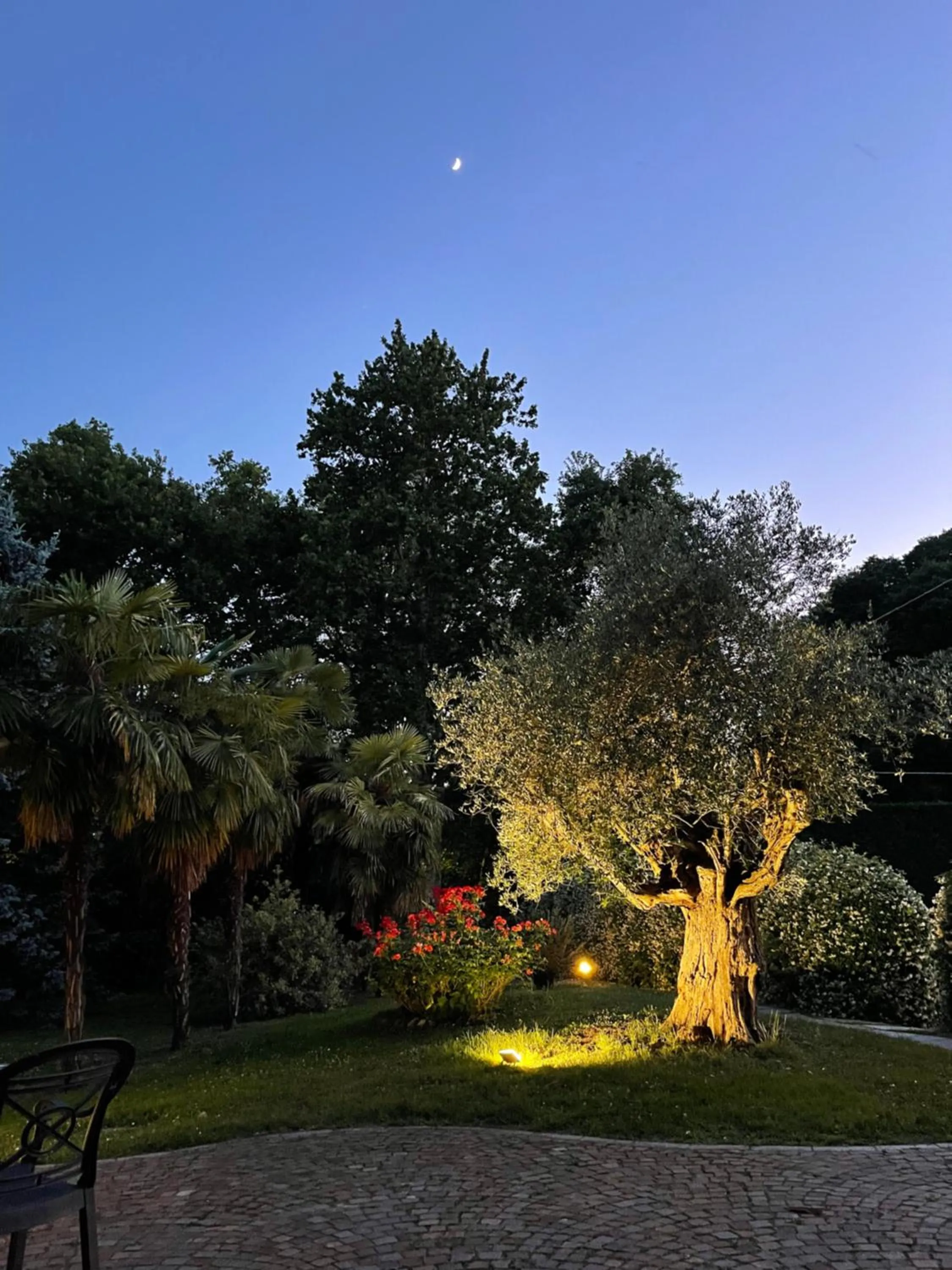 Garden in Parco Hotel Sassi