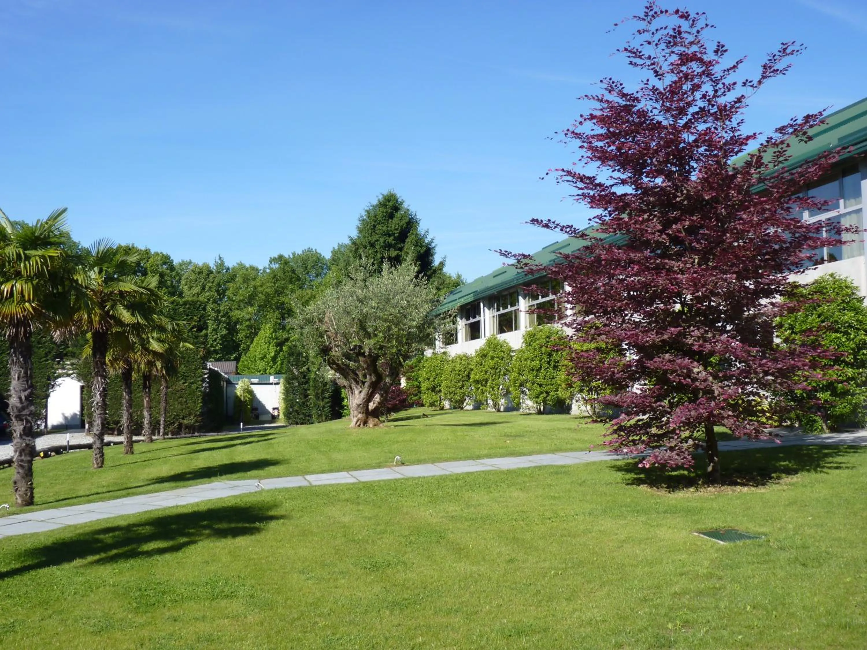 Garden in Parco Hotel Sassi