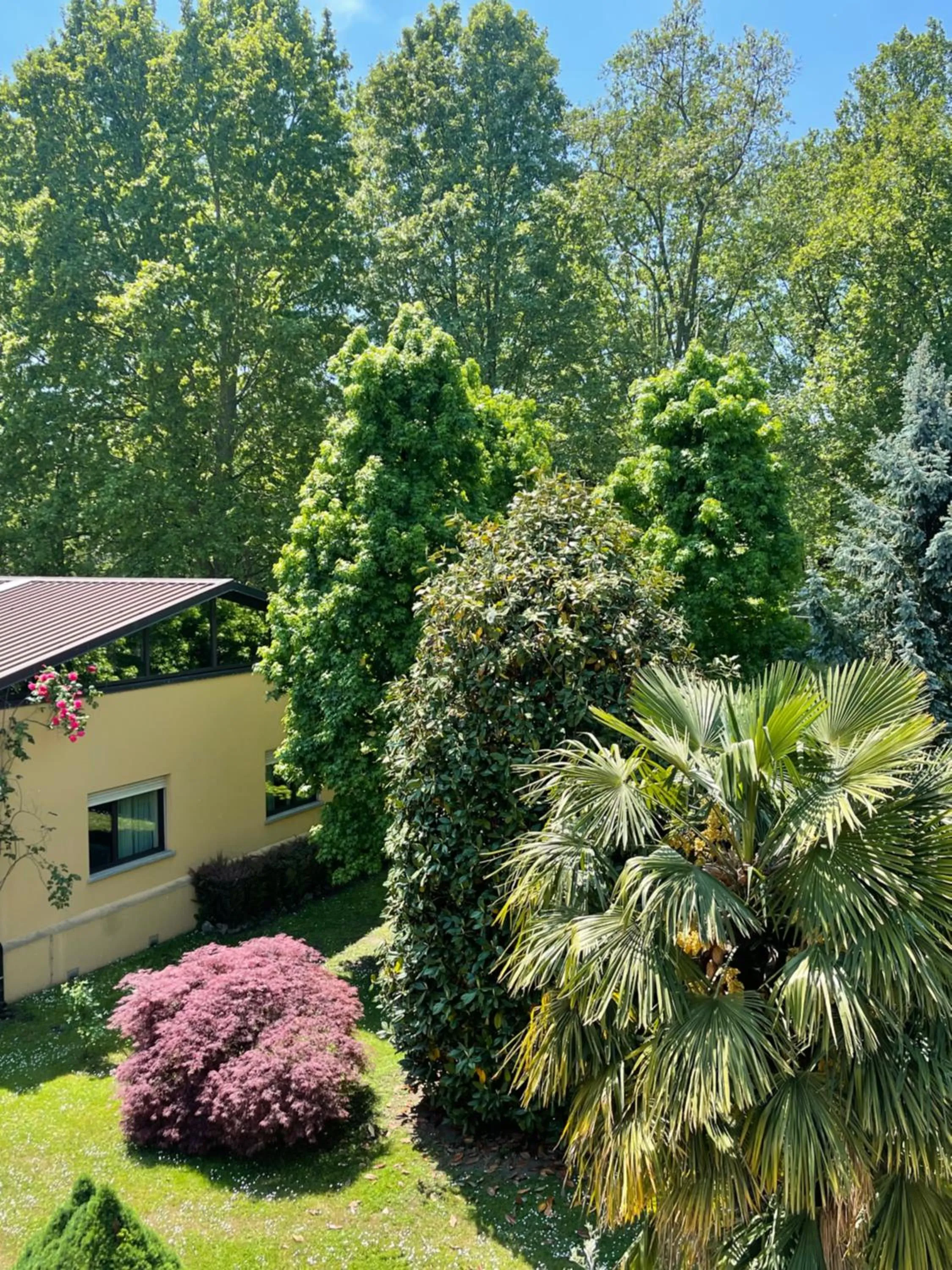 Garden in Parco Hotel Sassi