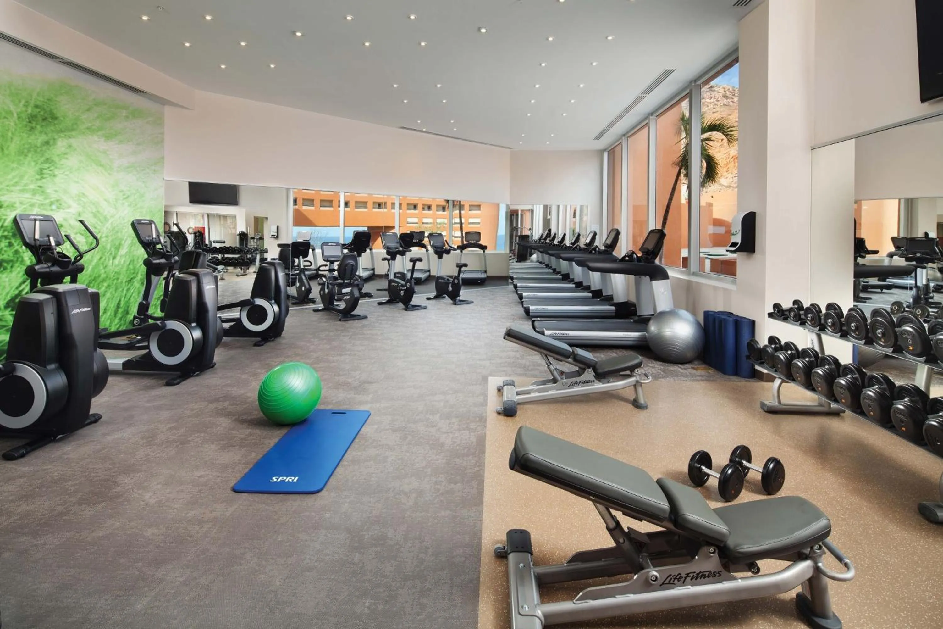 Fitness centre/facilities in The Westin Los Cabos Resort Villas - Baja Point
