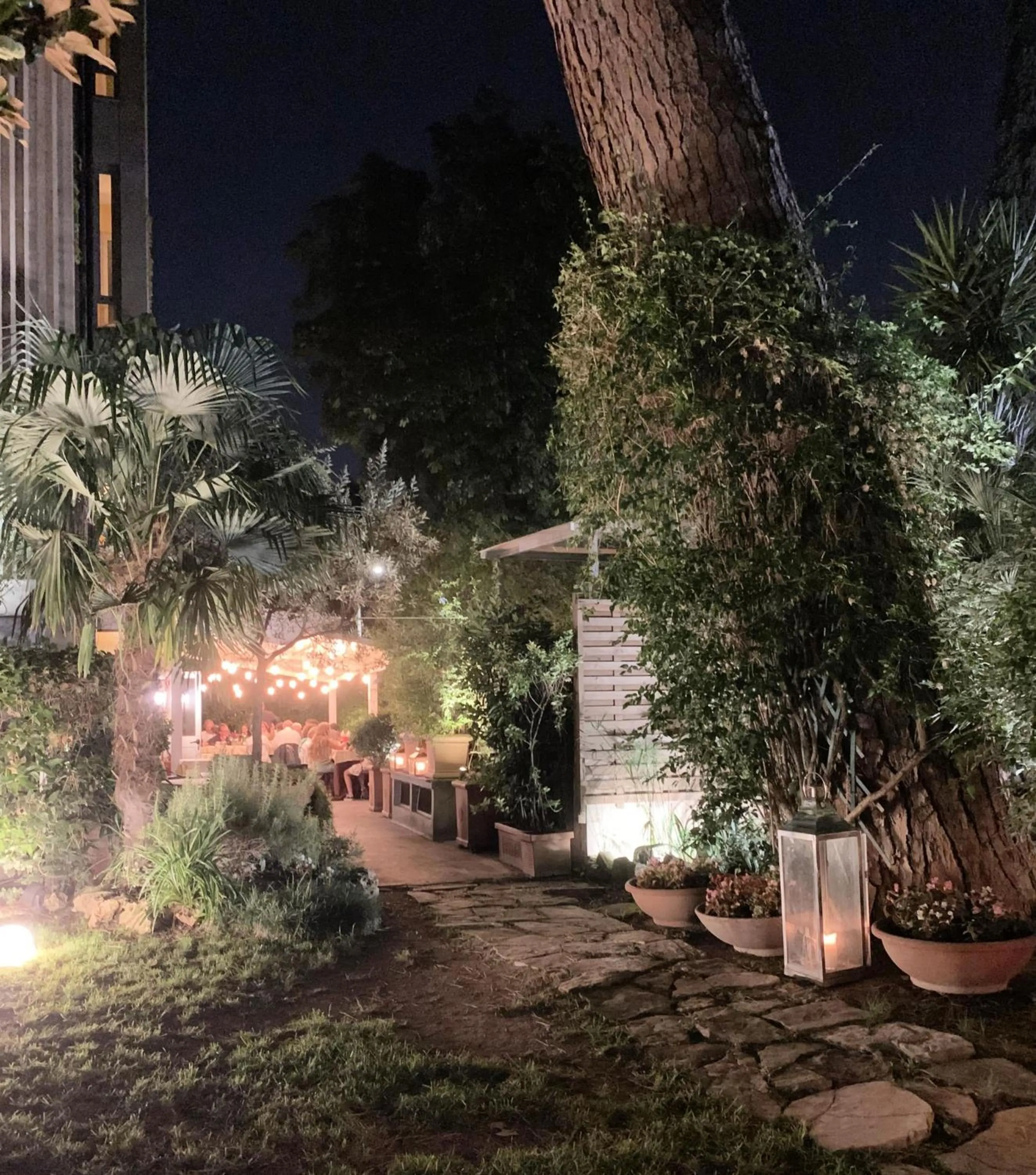 Night in Hotel Fenix