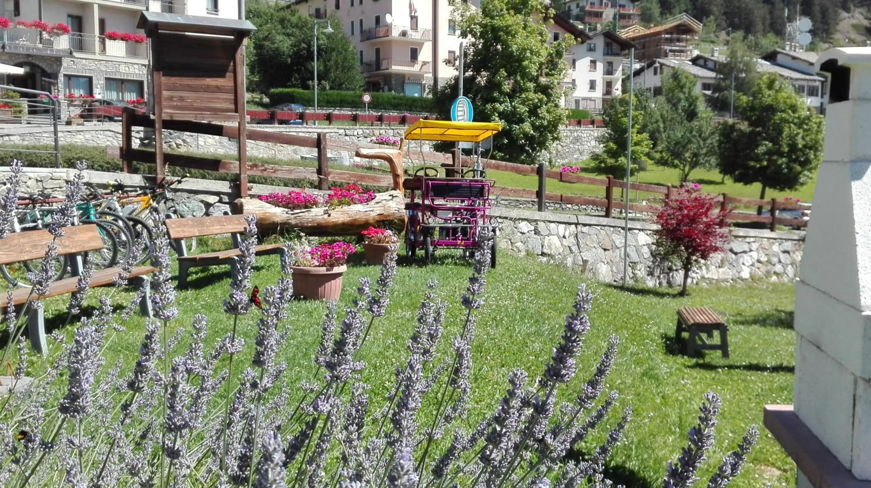 Garden in Hotel Saint Nicolas Gran Paradiso