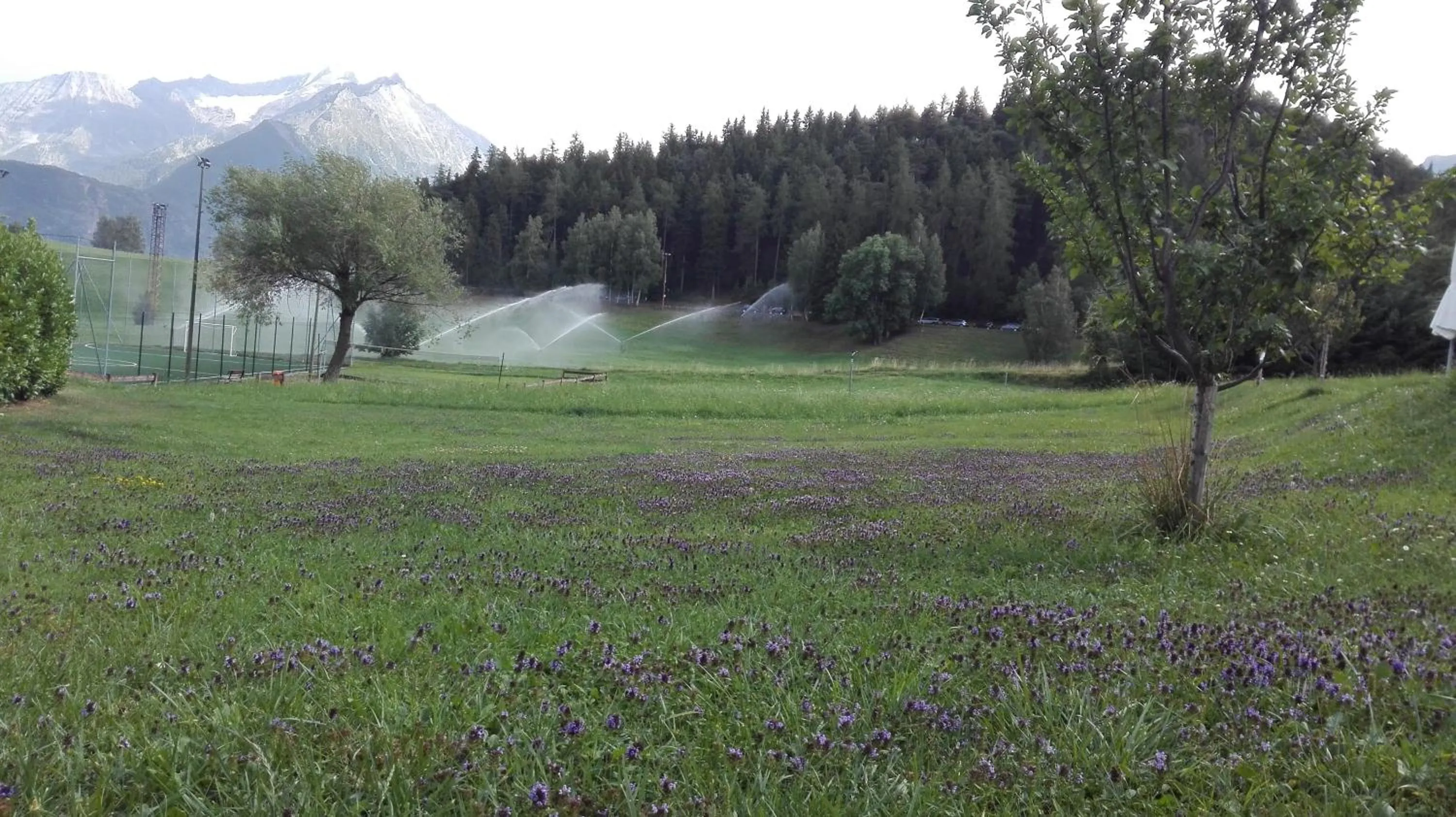 Natural landscape in Hotel Saint Nicolas Gran Paradiso