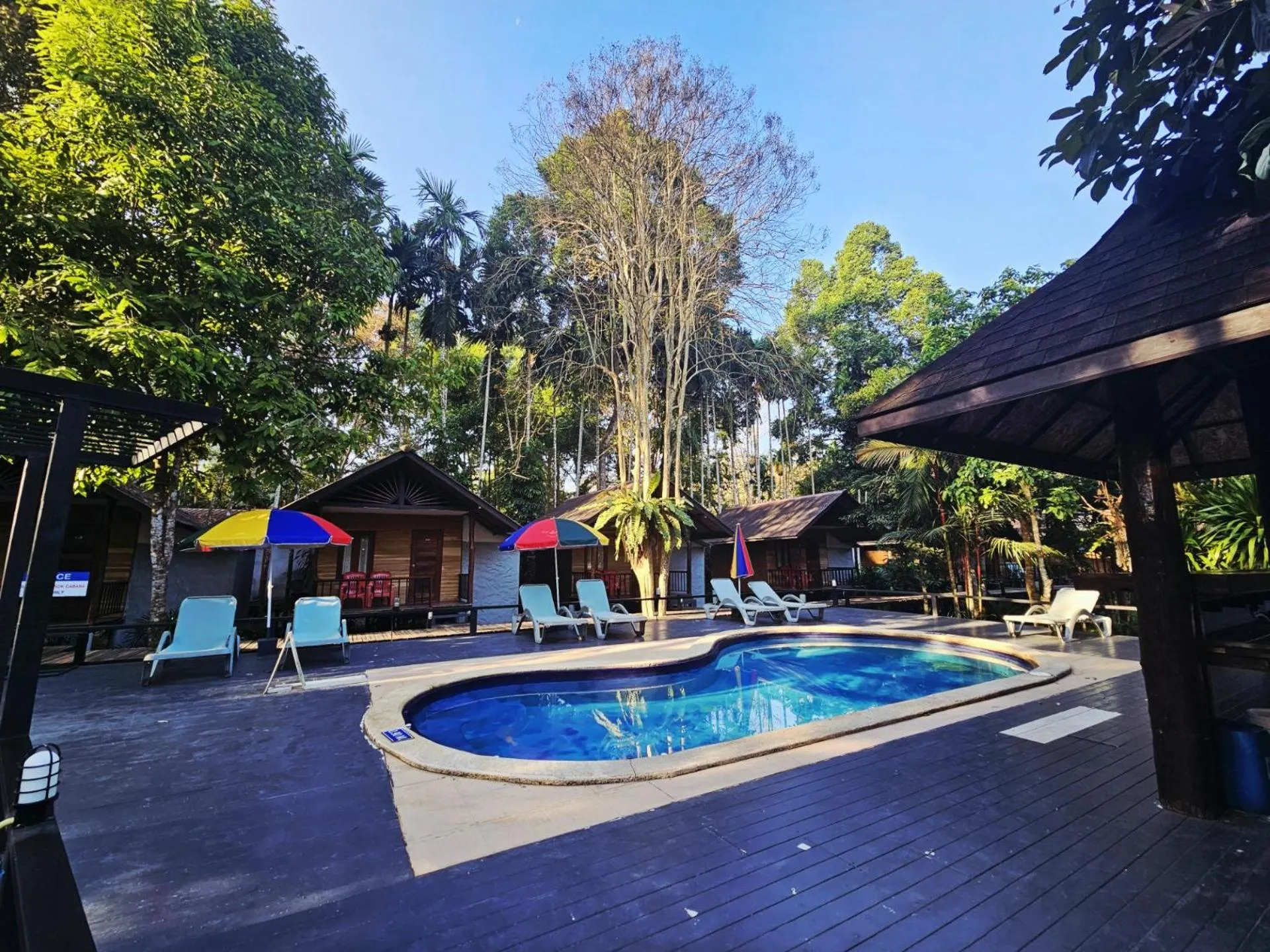 Swimming pool in Khao Sok Cabana Resort