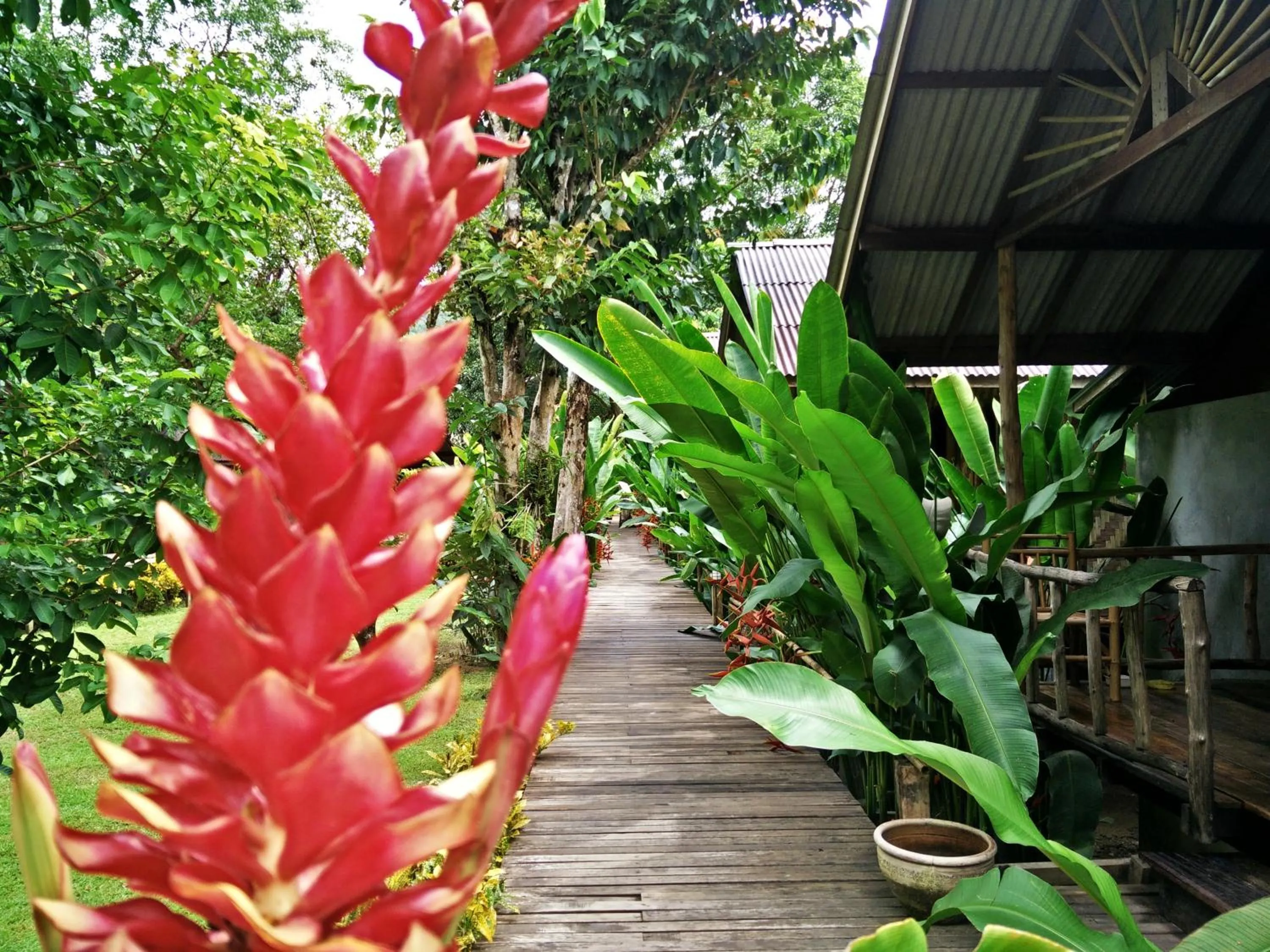 Other in Khao Sok Cabana Resort