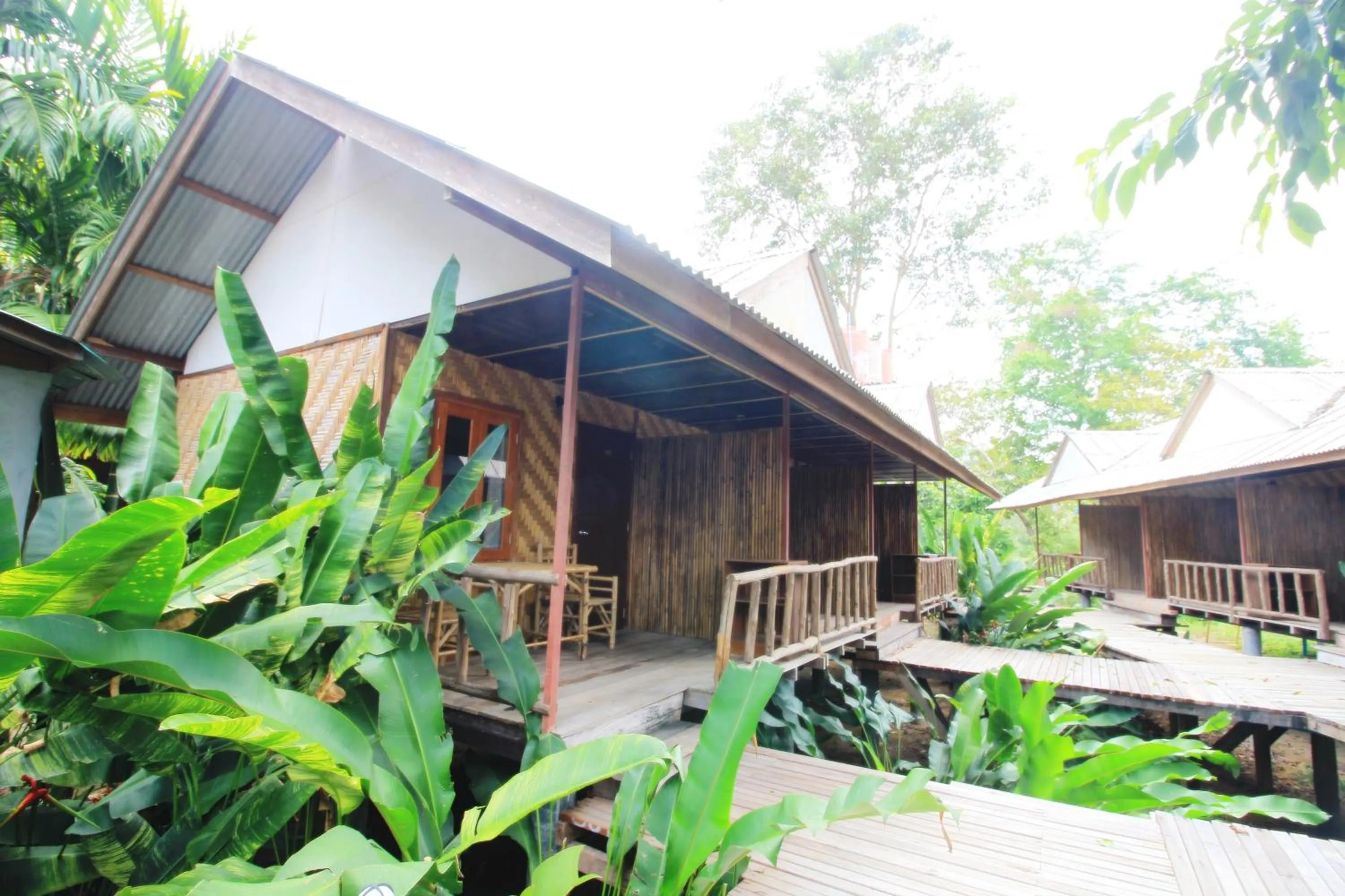 Photo of the whole room in Khao Sok Cabana Resort