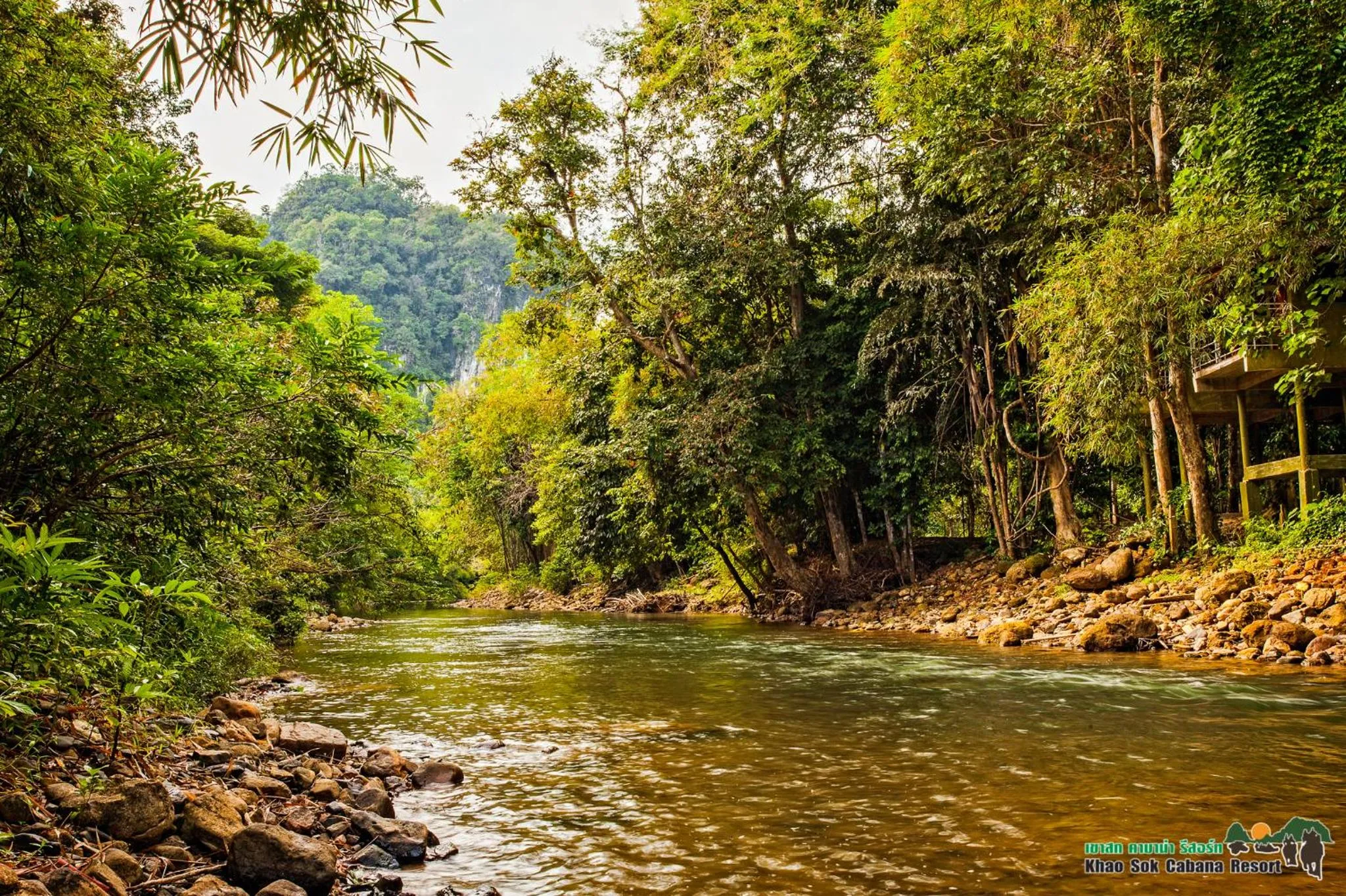 Other in Khao Sok Cabana Resort