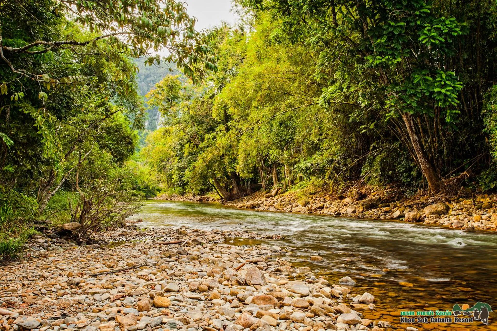 Other in Khao Sok Cabana Resort