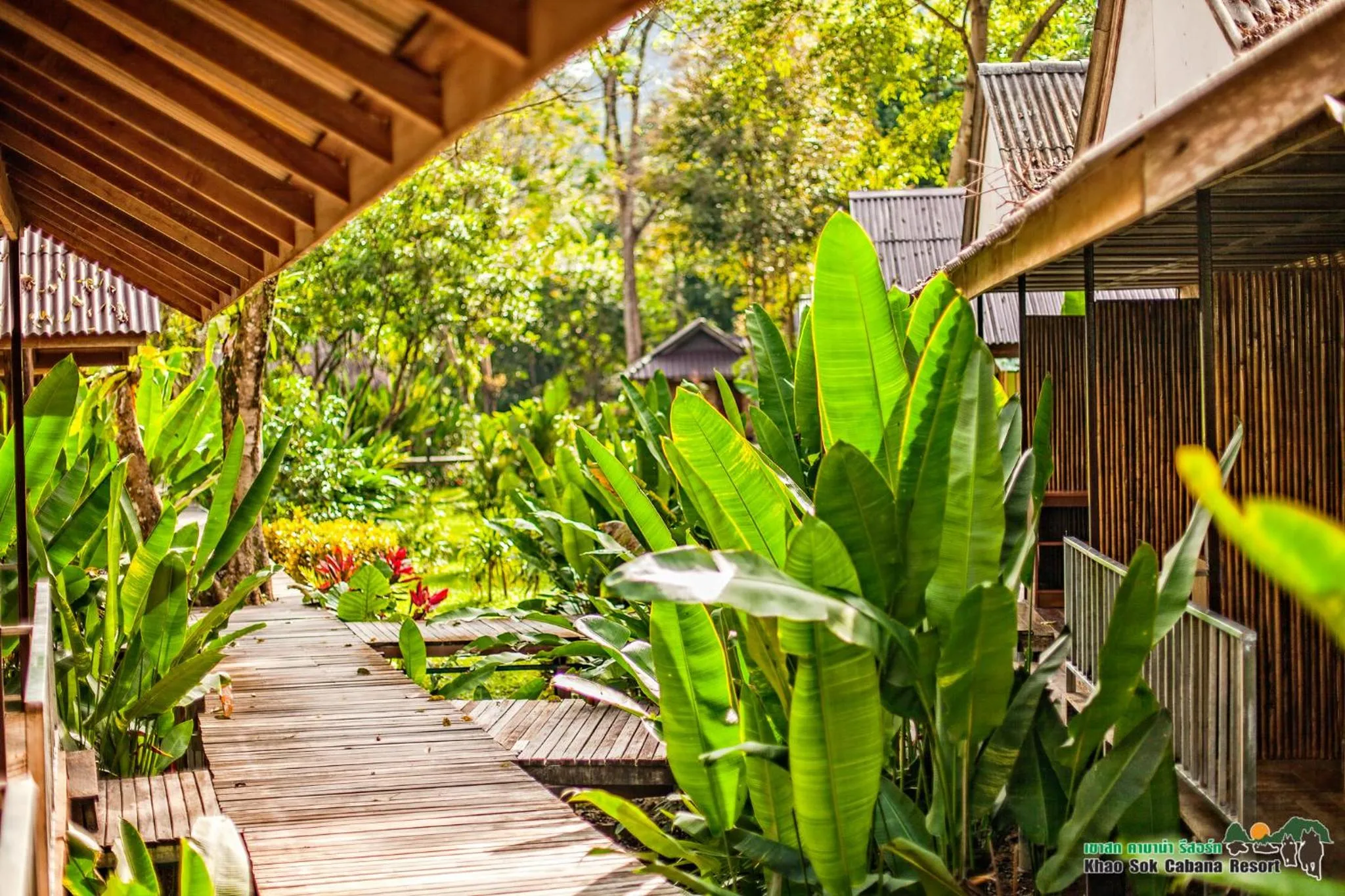 Natural landscape in Khao Sok Cabana Resort