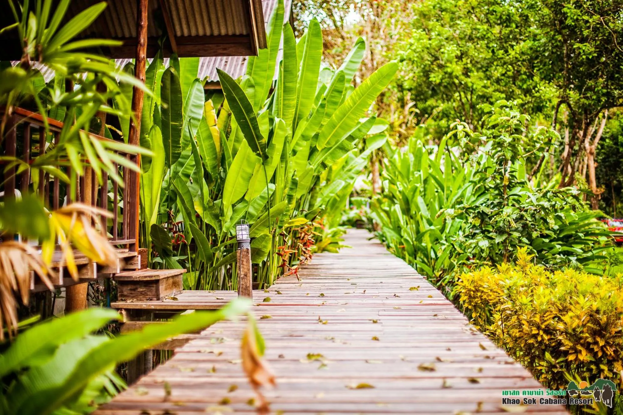 View (from property/room) in Khao Sok Cabana Resort