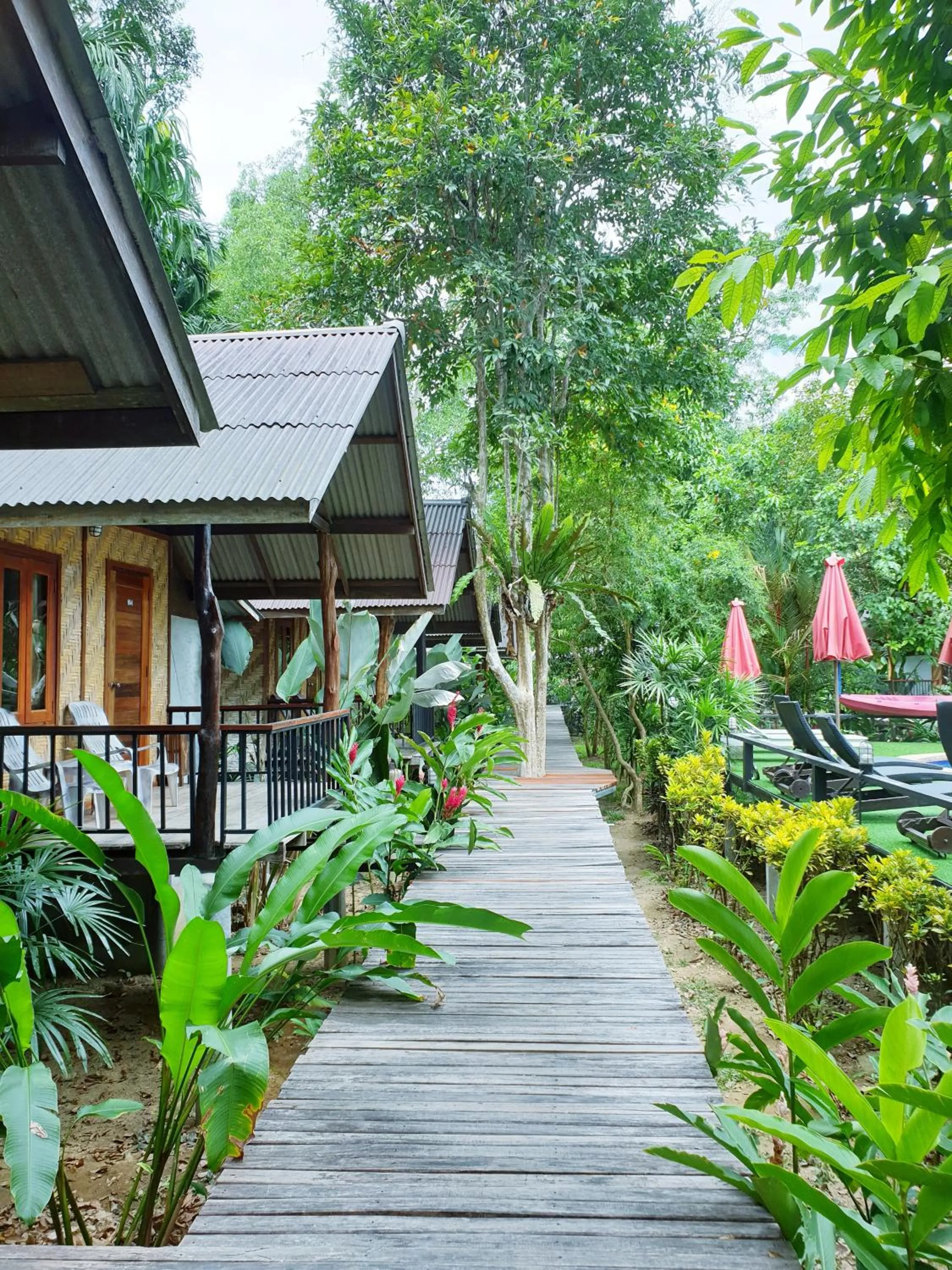 Natural landscape in Khao Sok Cabana Resort