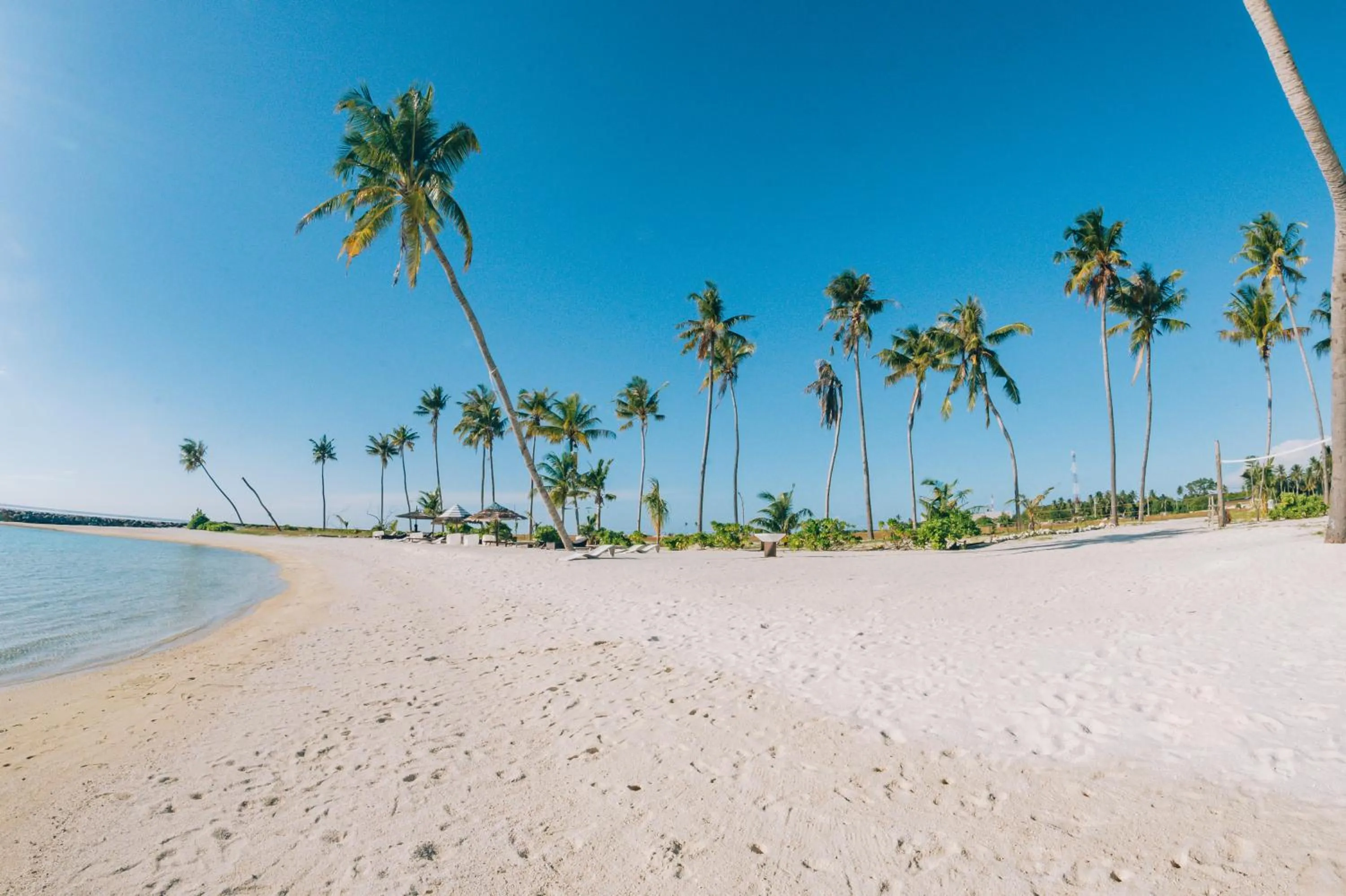 Natural landscape in The Bilimbi Guesthouse & Inn