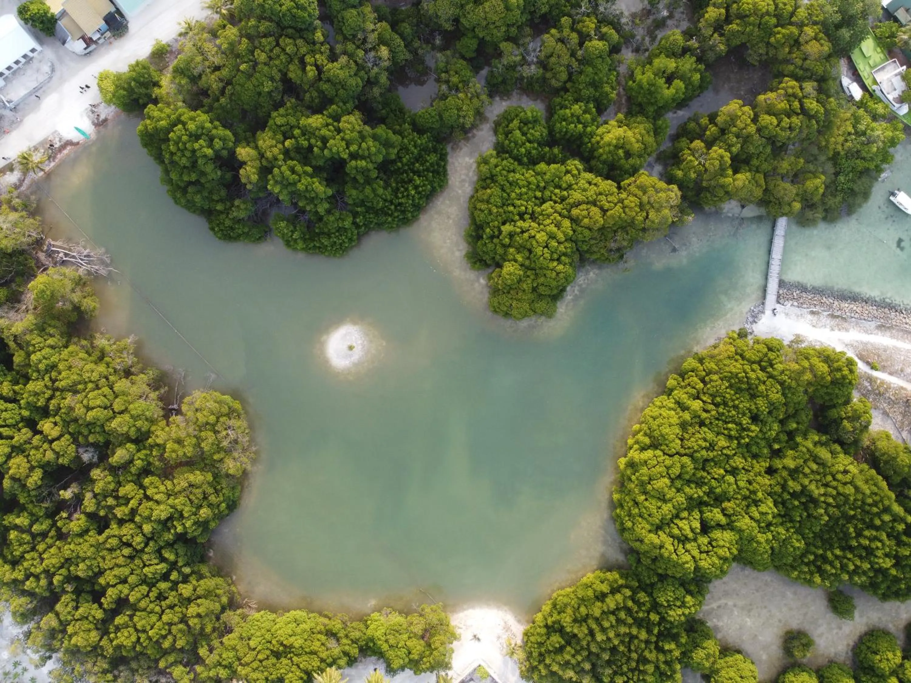 Natural landscape in The Bilimbi Guesthouse & Inn