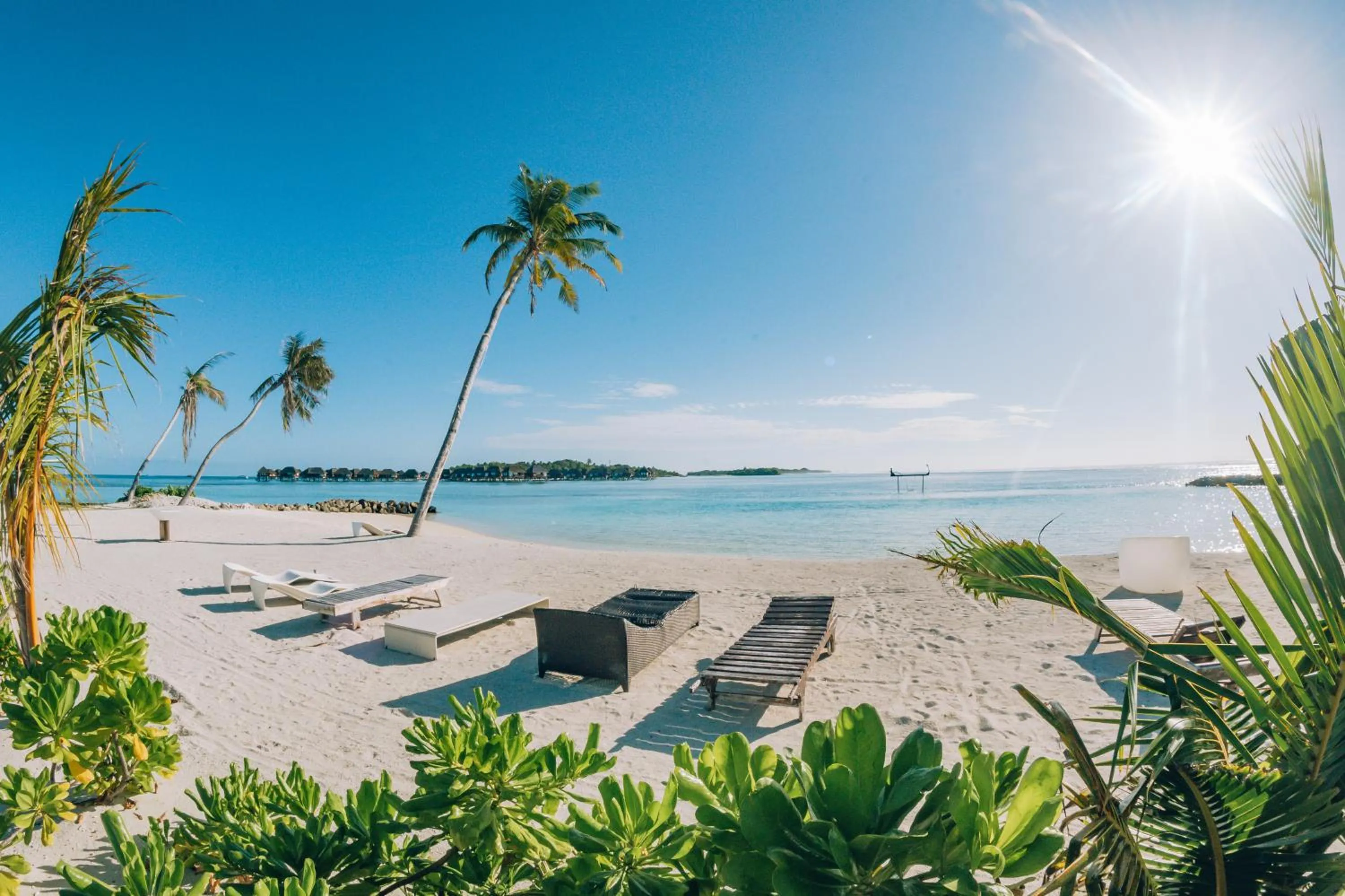 Beach in The Bilimbi Guesthouse & Inn
