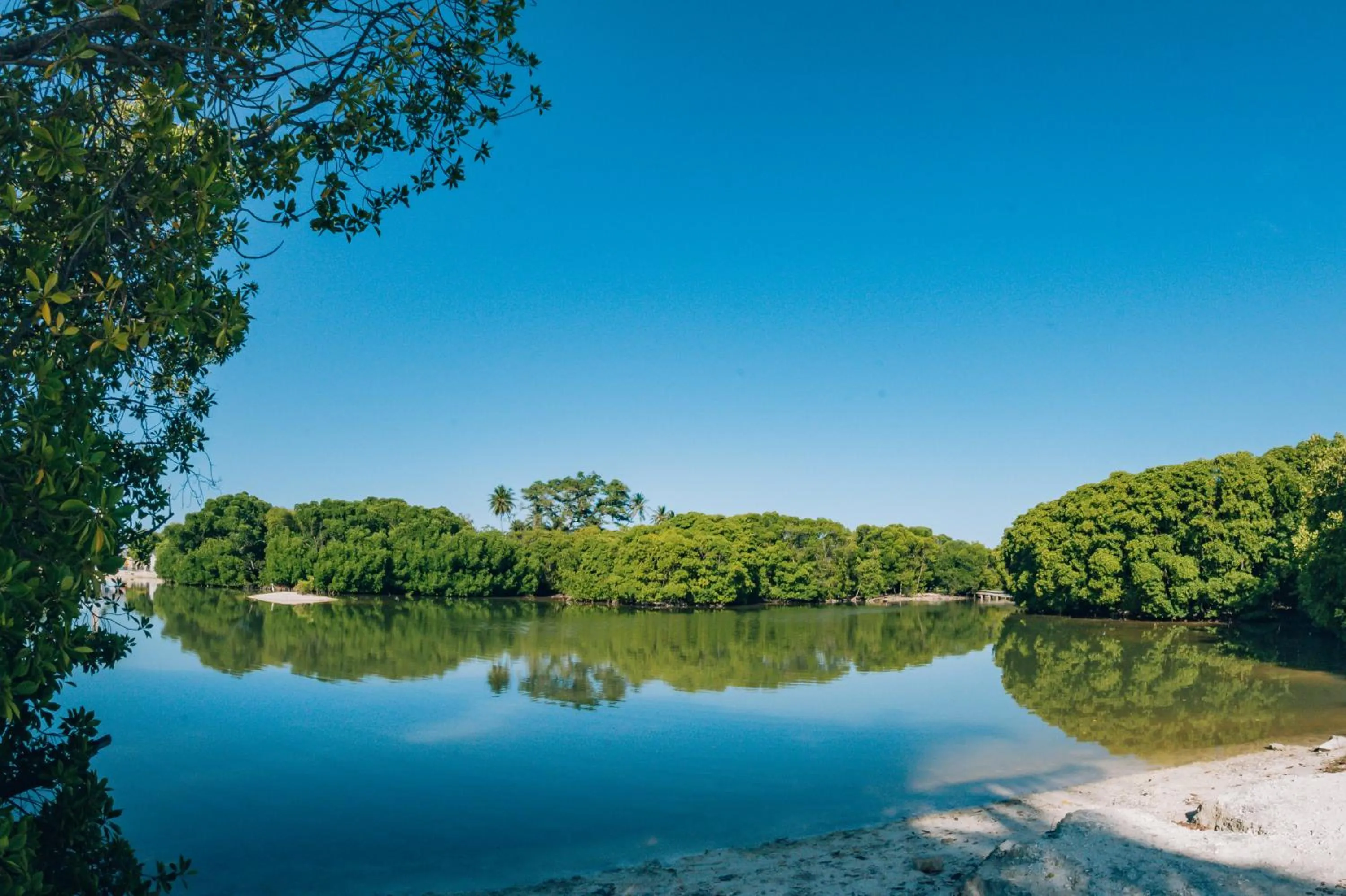 Nearby landmark in The Bilimbi Guesthouse & Inn