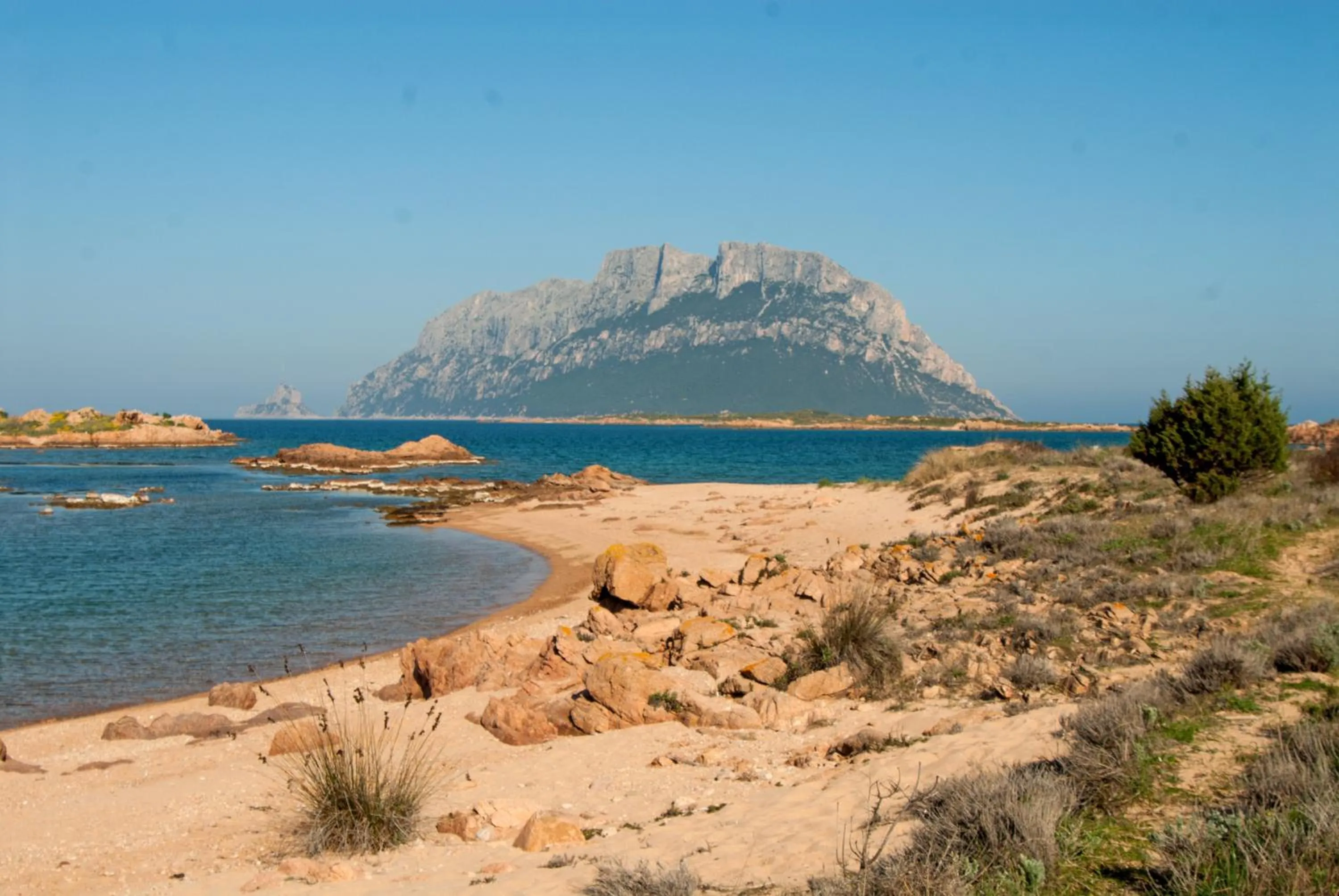 Area and facilities in Hotel Ollastu