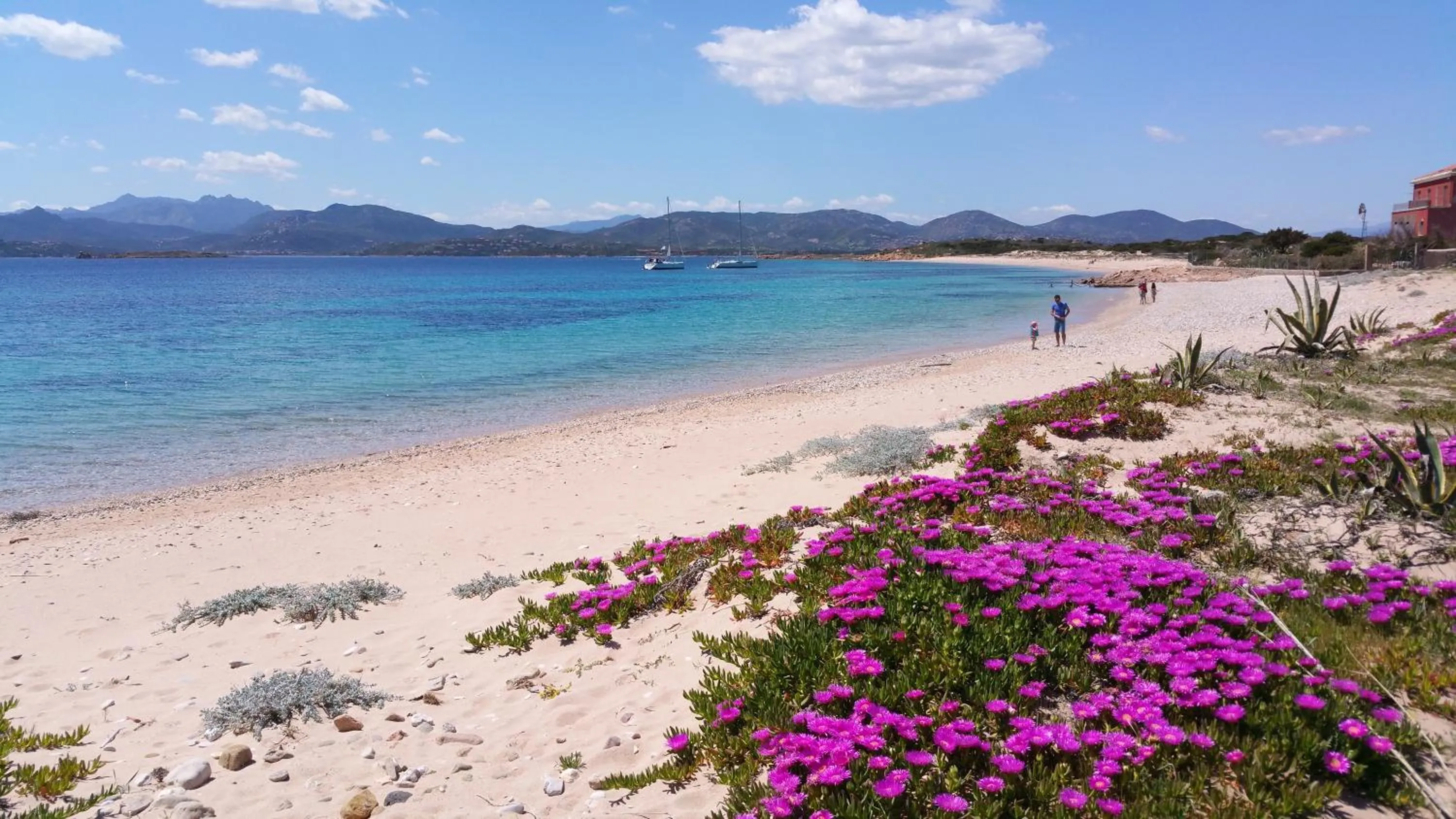 Natural landscape in Hotel Ollastu