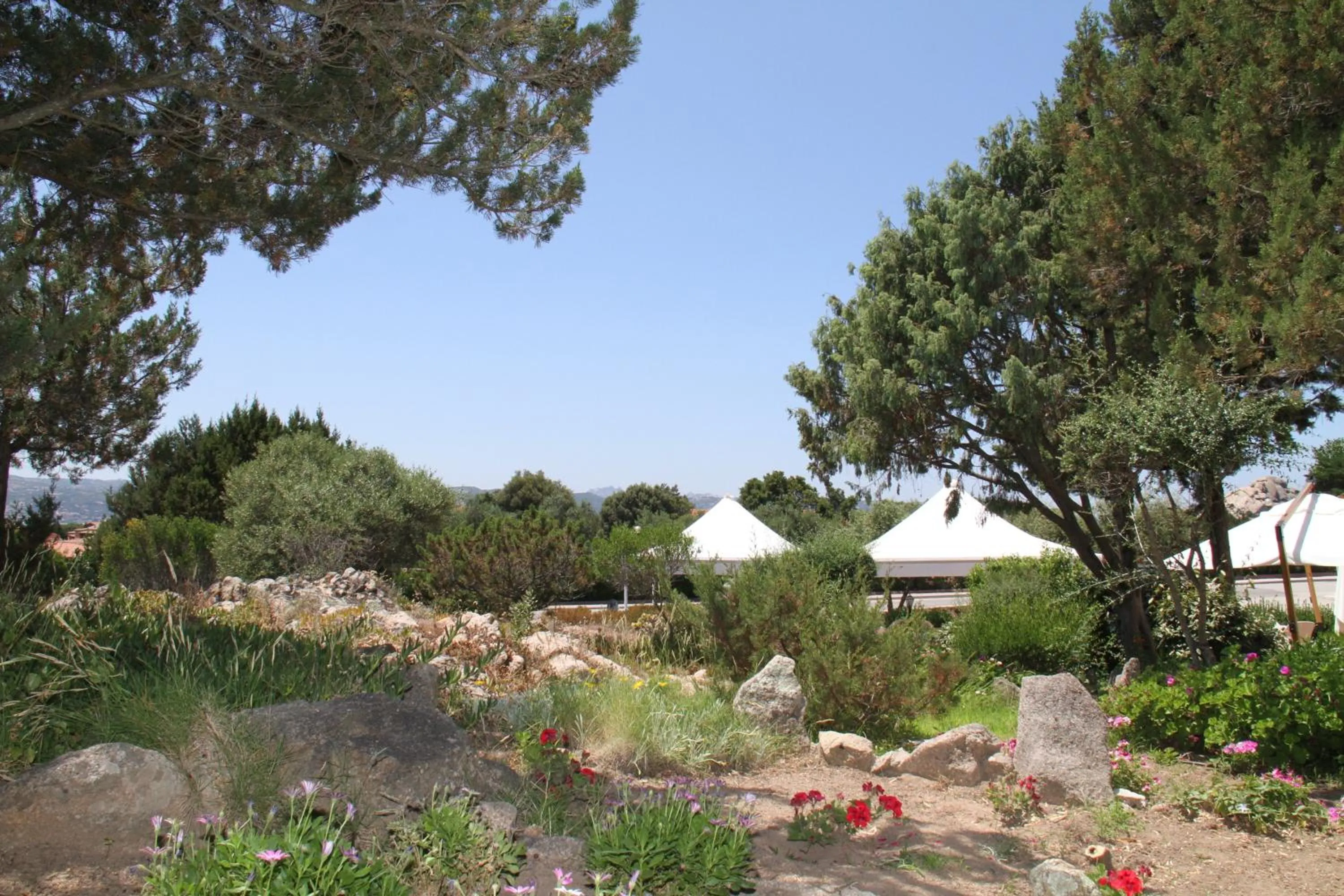 Garden in Hotel 3 Botti