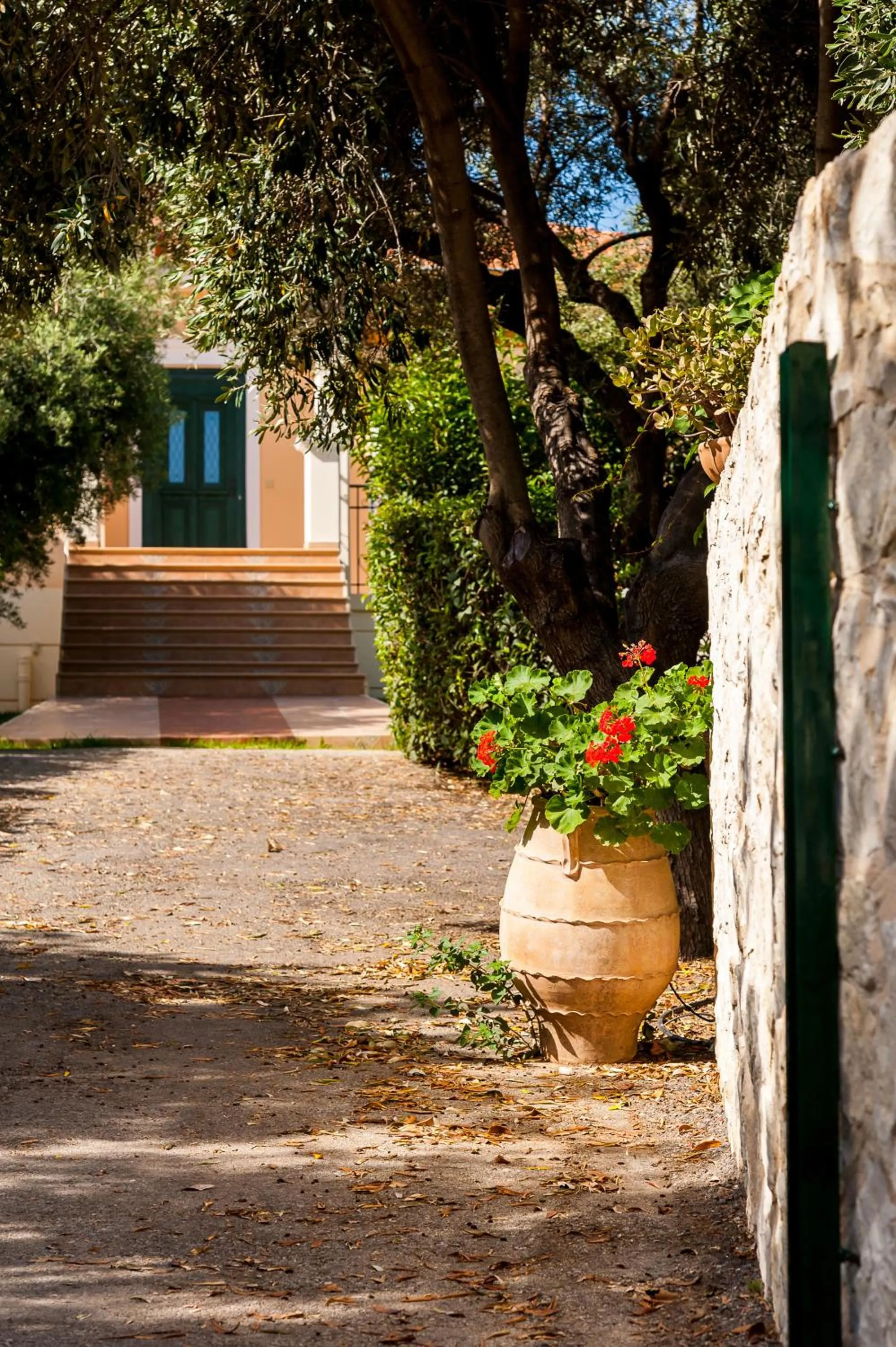 Garden in Villa Vallia - Villa Marina