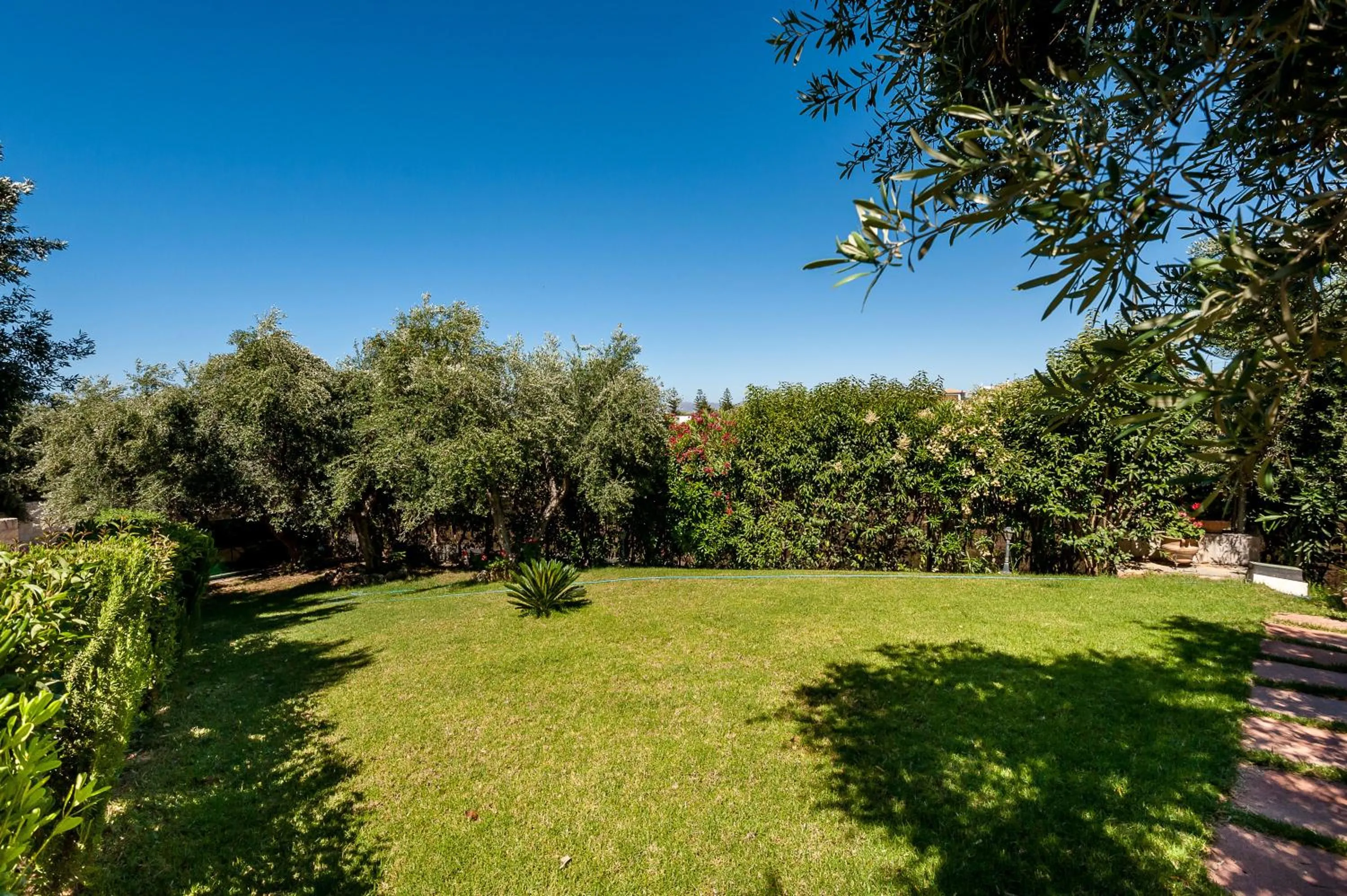Garden in Villa Vallia - Villa Marina