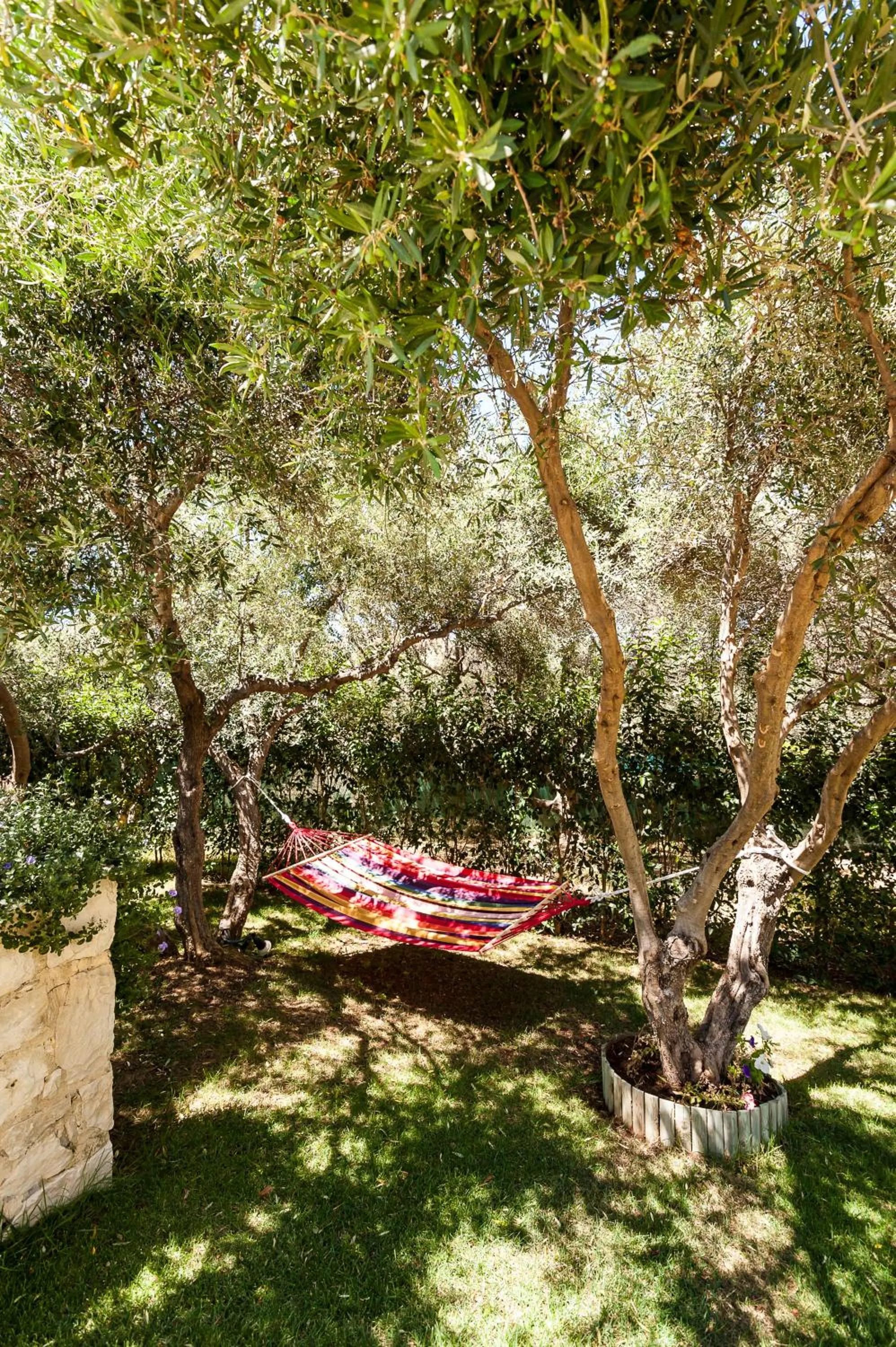 Garden in Villa Vallia - Villa Marina