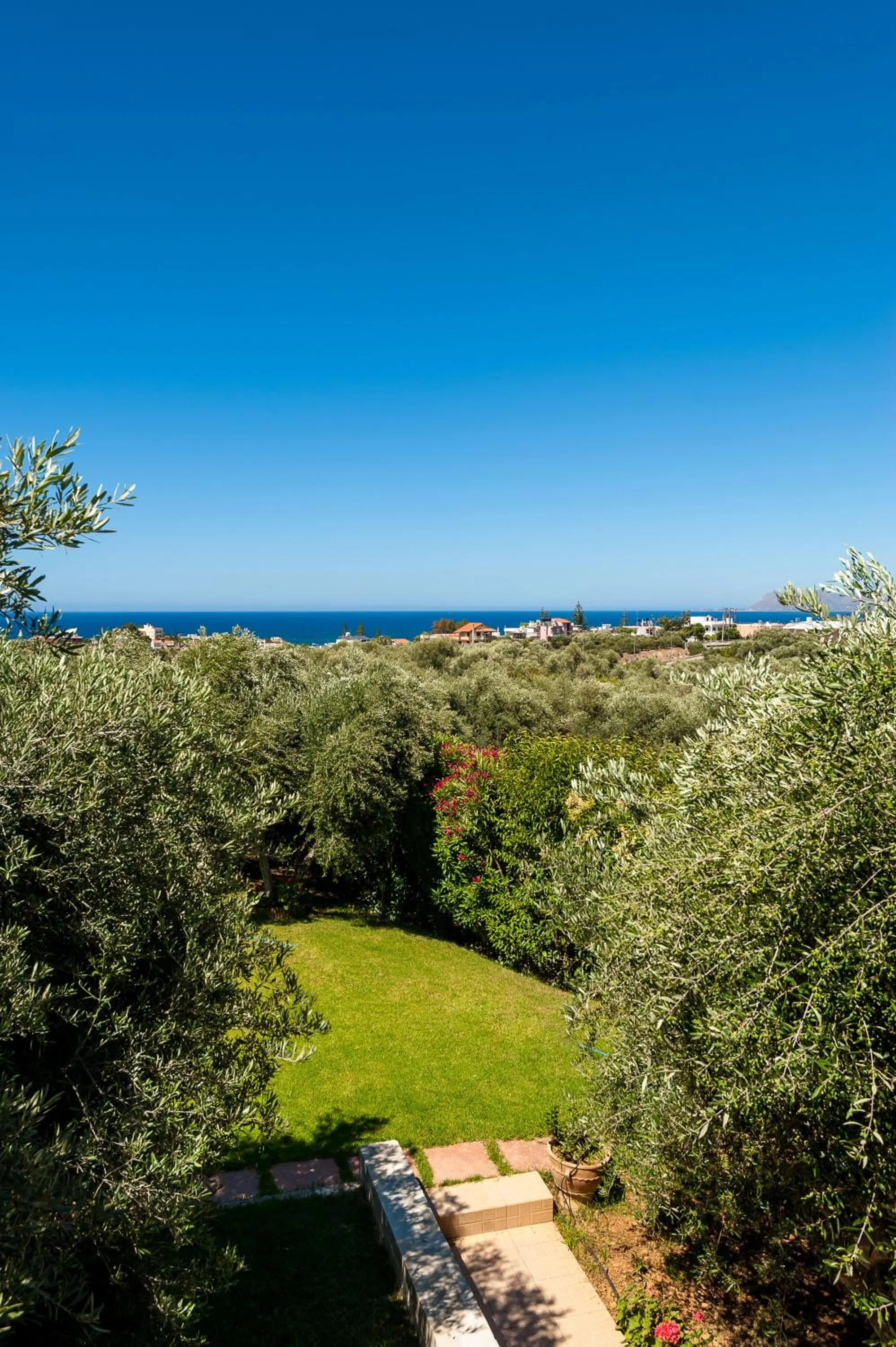 Garden in Villa Vallia - Villa Marina