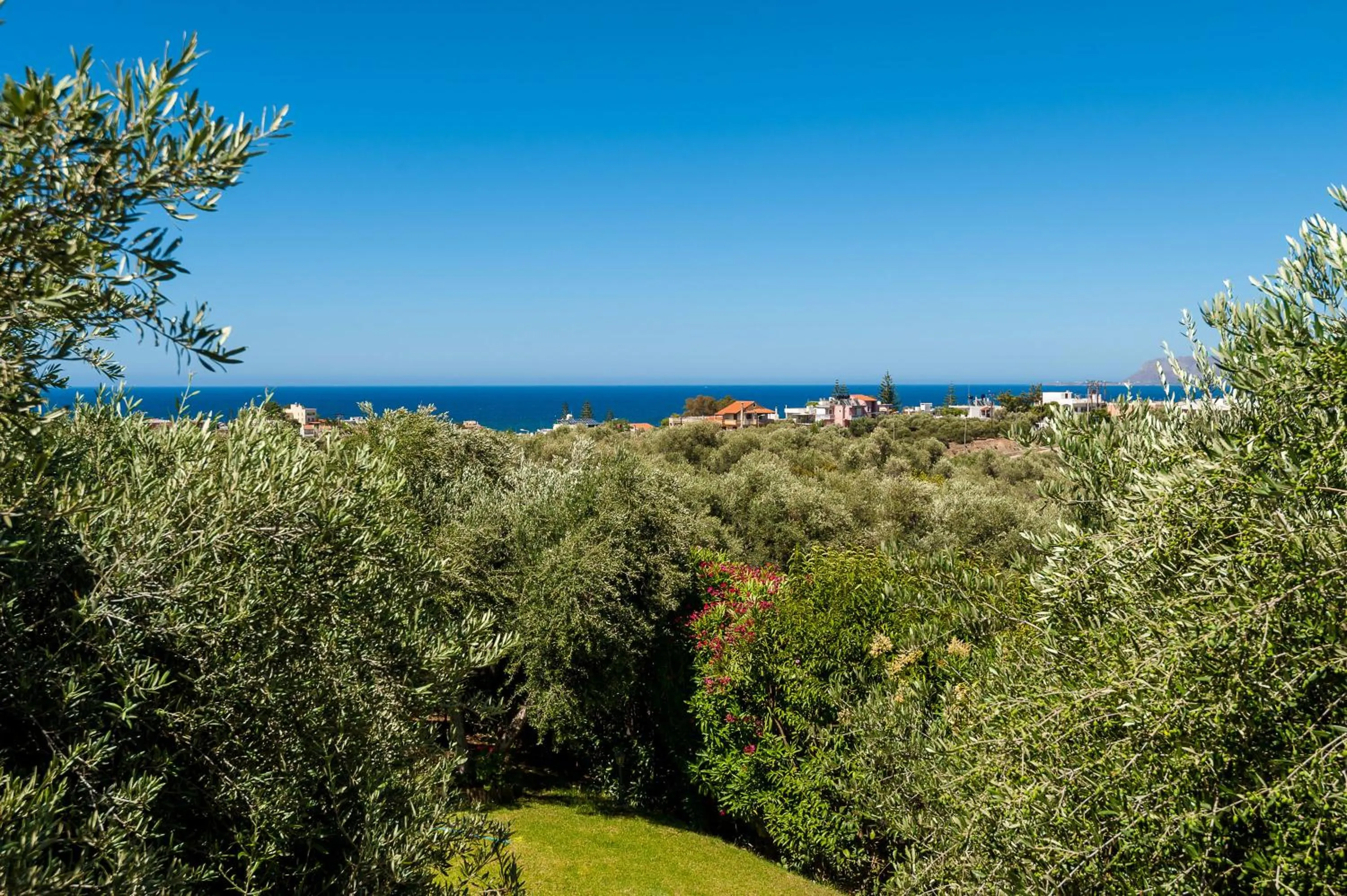 Garden in Villa Vallia - Villa Marina