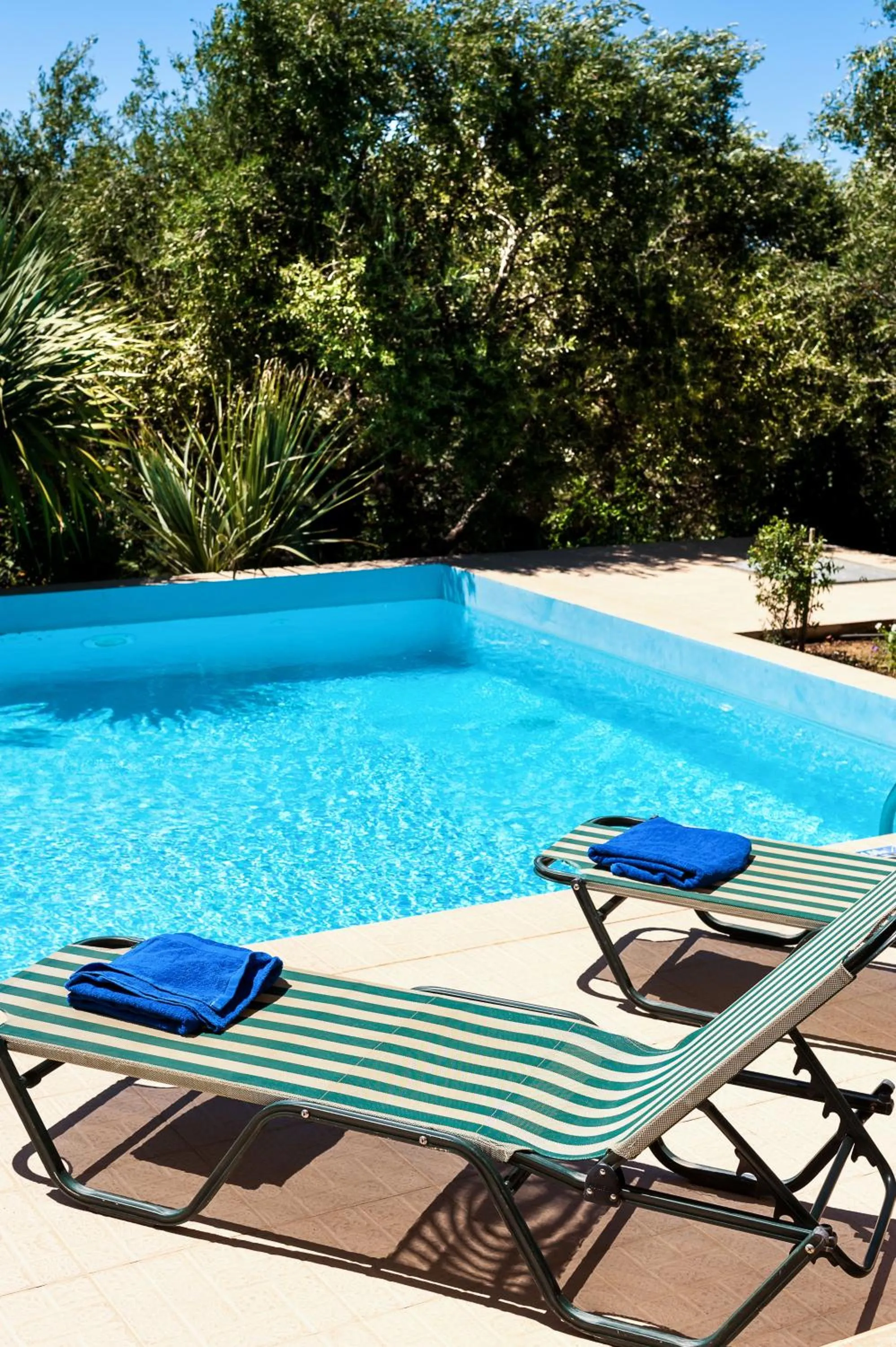 Swimming pool in Villa Vallia - Villa Marina