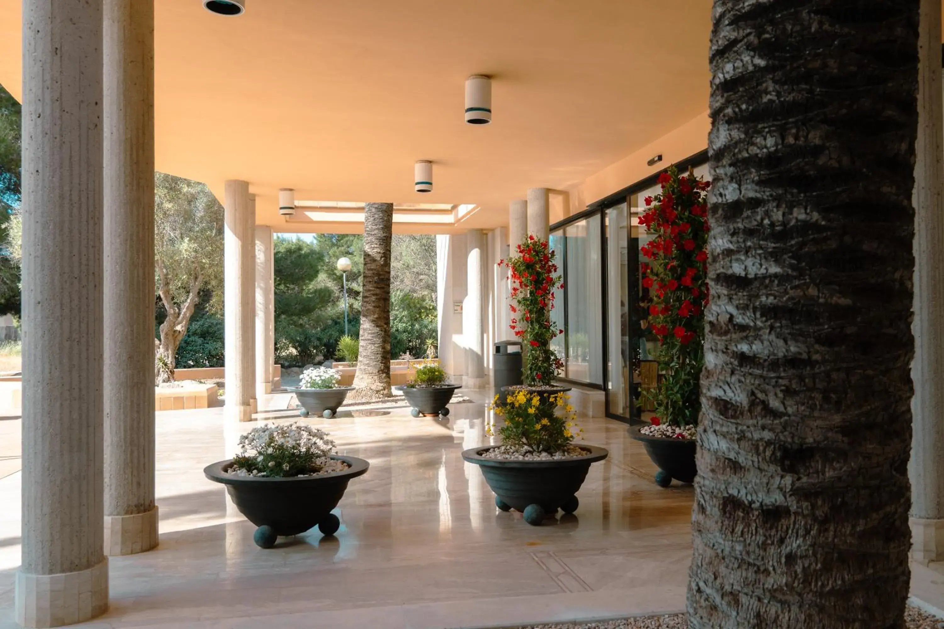 Property building in Rosamar Ibiza Hotel Property building in Rosamar Ibiza Hotel