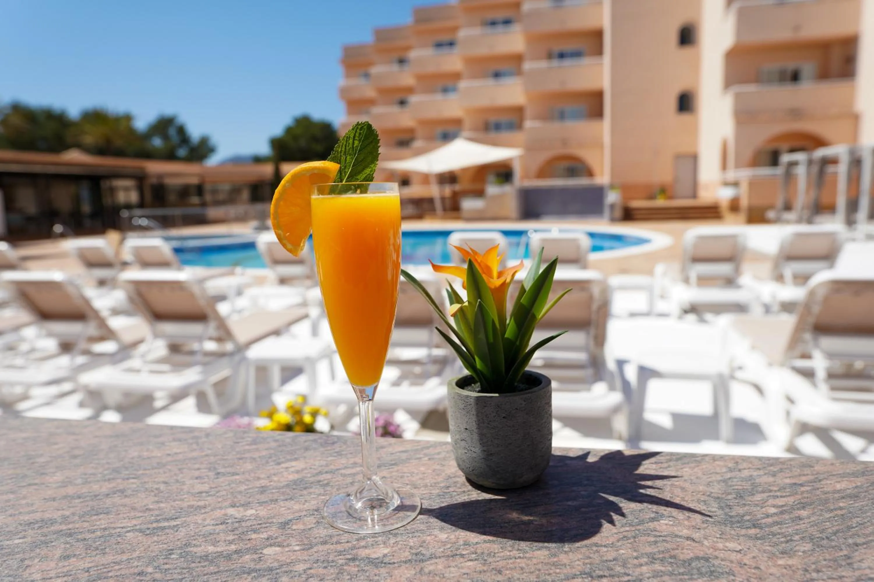 Off site in Rosamar Ibiza Hotel