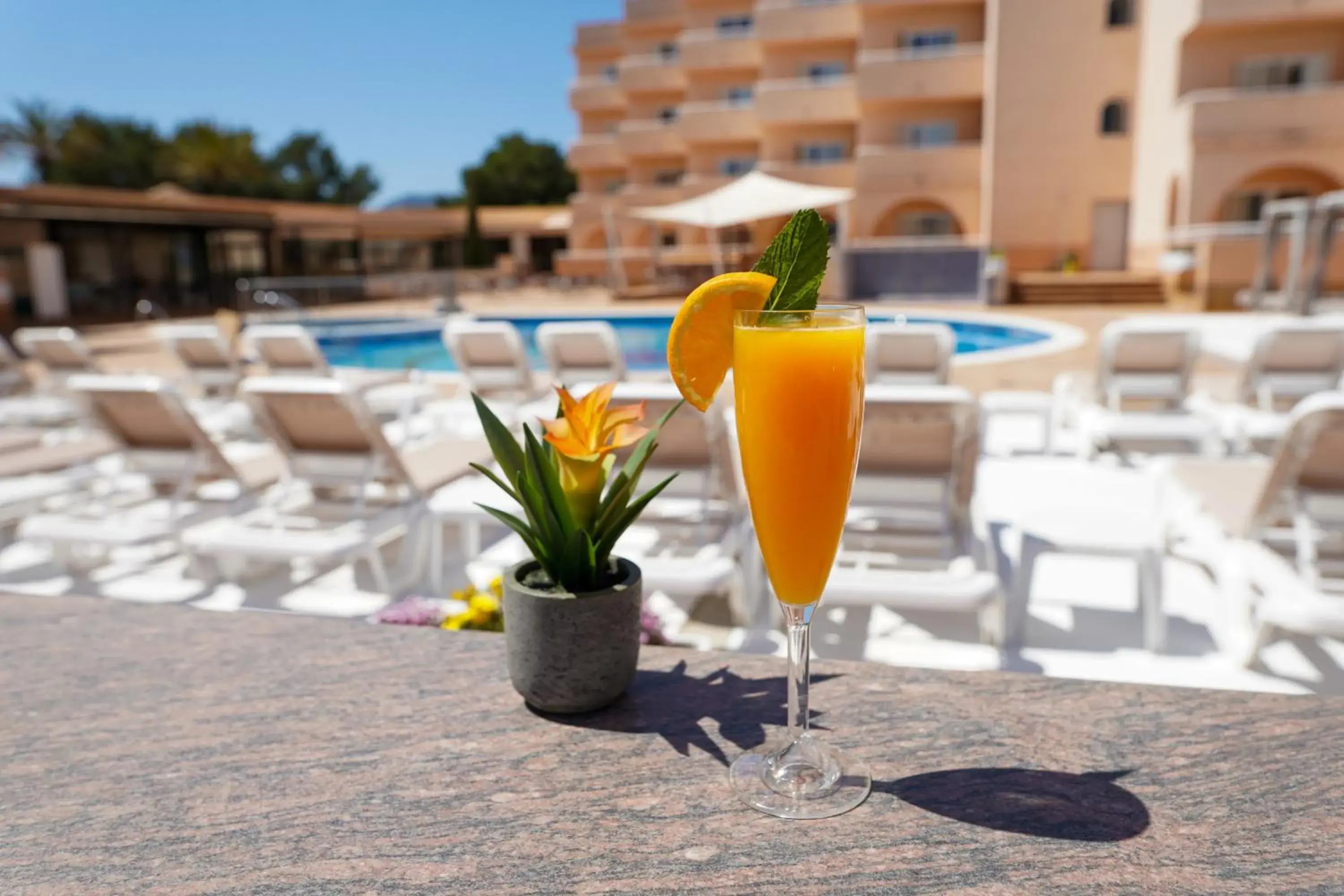 Food and drinks in Rosamar Ibiza Hotel Food and drinks in Rosamar Ibiza Hotel