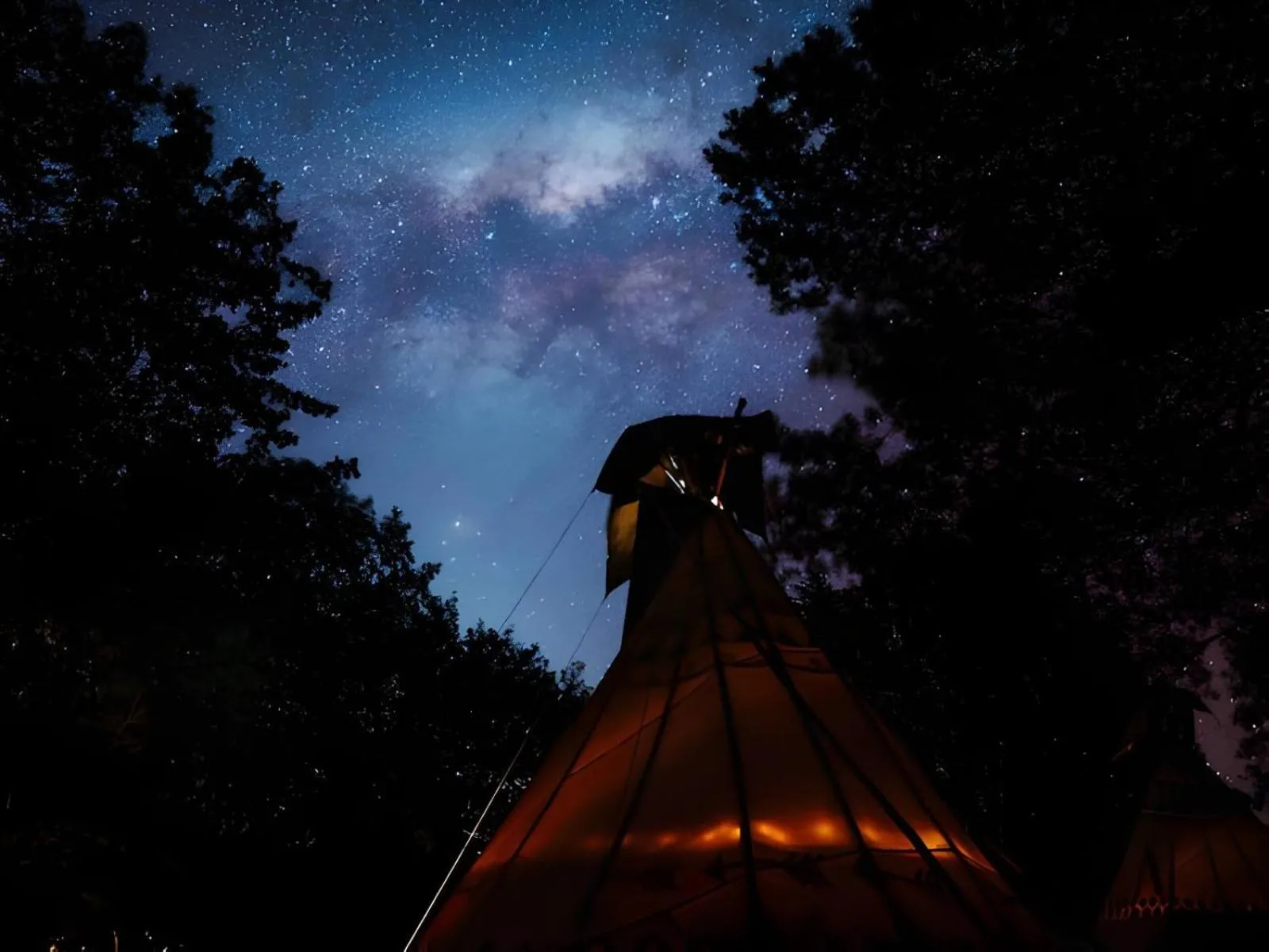 Garden in The Magical Teepee Experience