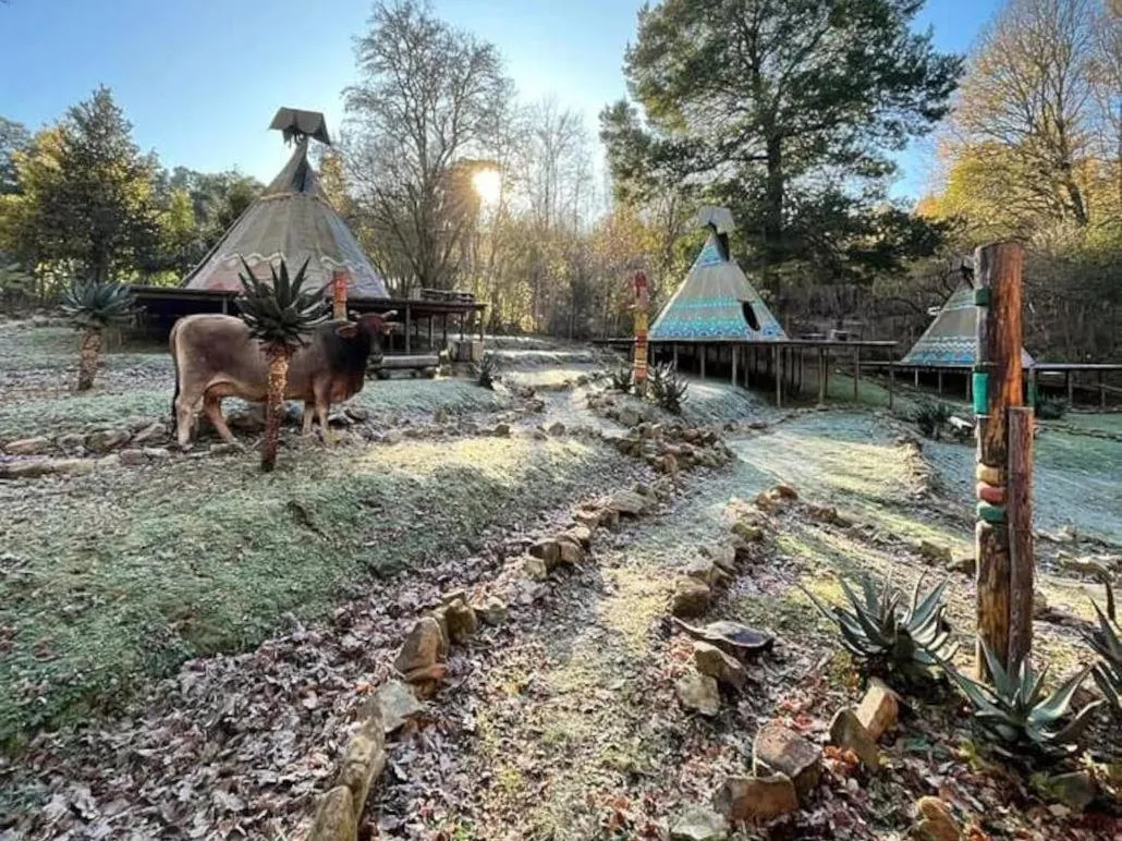Garden view in The Magical Teepee Experience