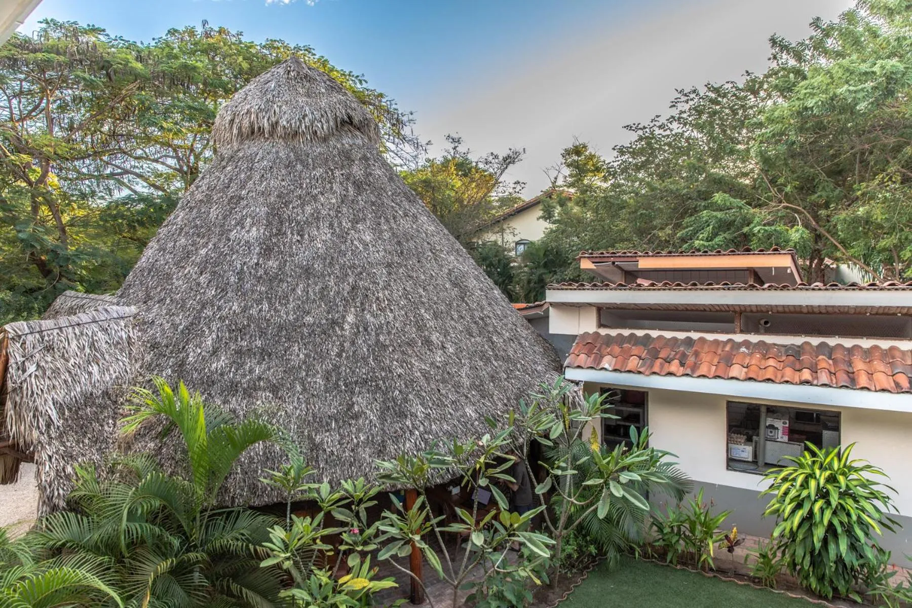 Restaurant/places to eat in Palm Beach Inn