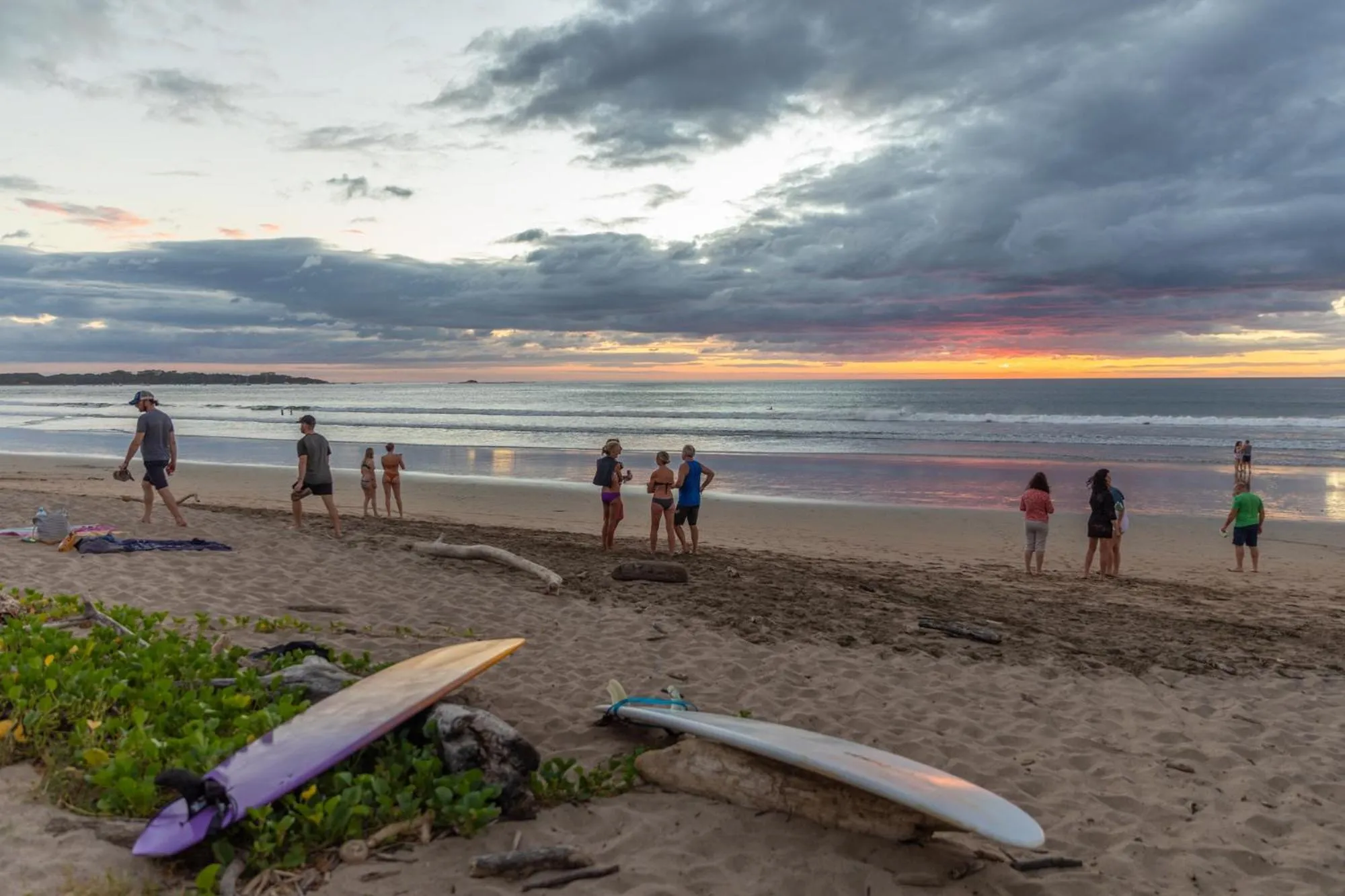 Day in Palm Beach Inn