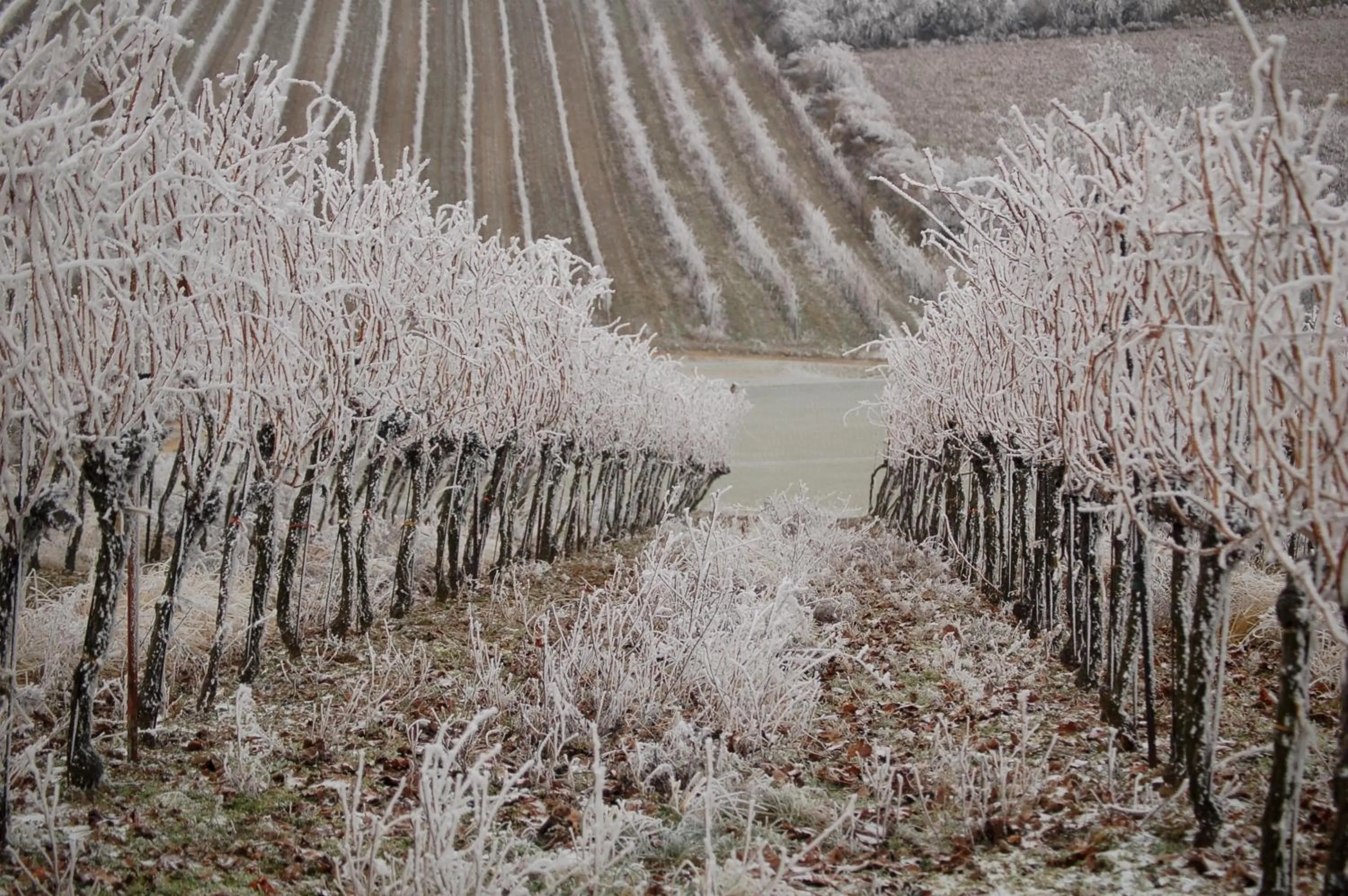 Winter in Kolpingsfamilie Poysdorf