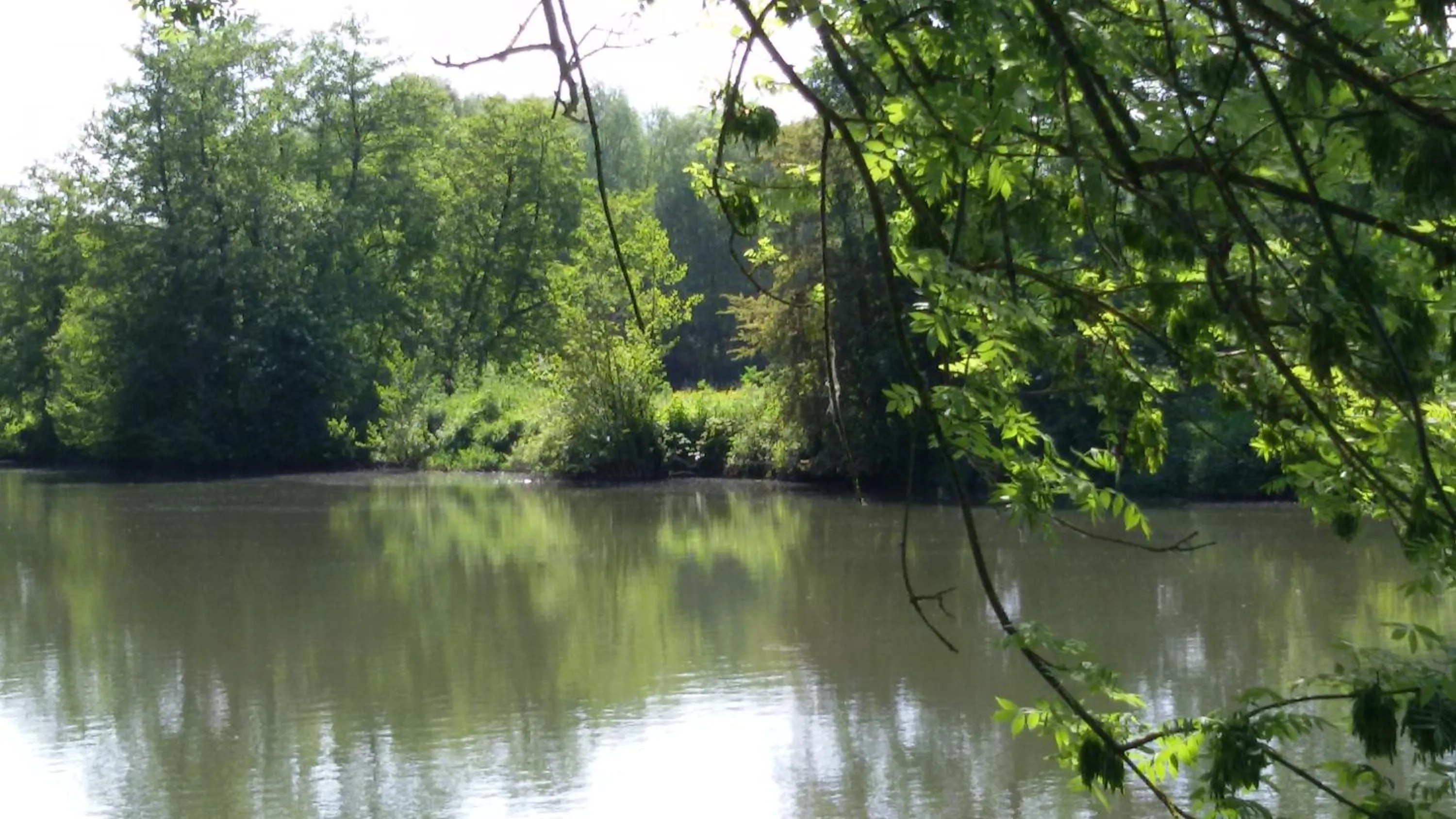 Natural landscape in Manoir des Turets