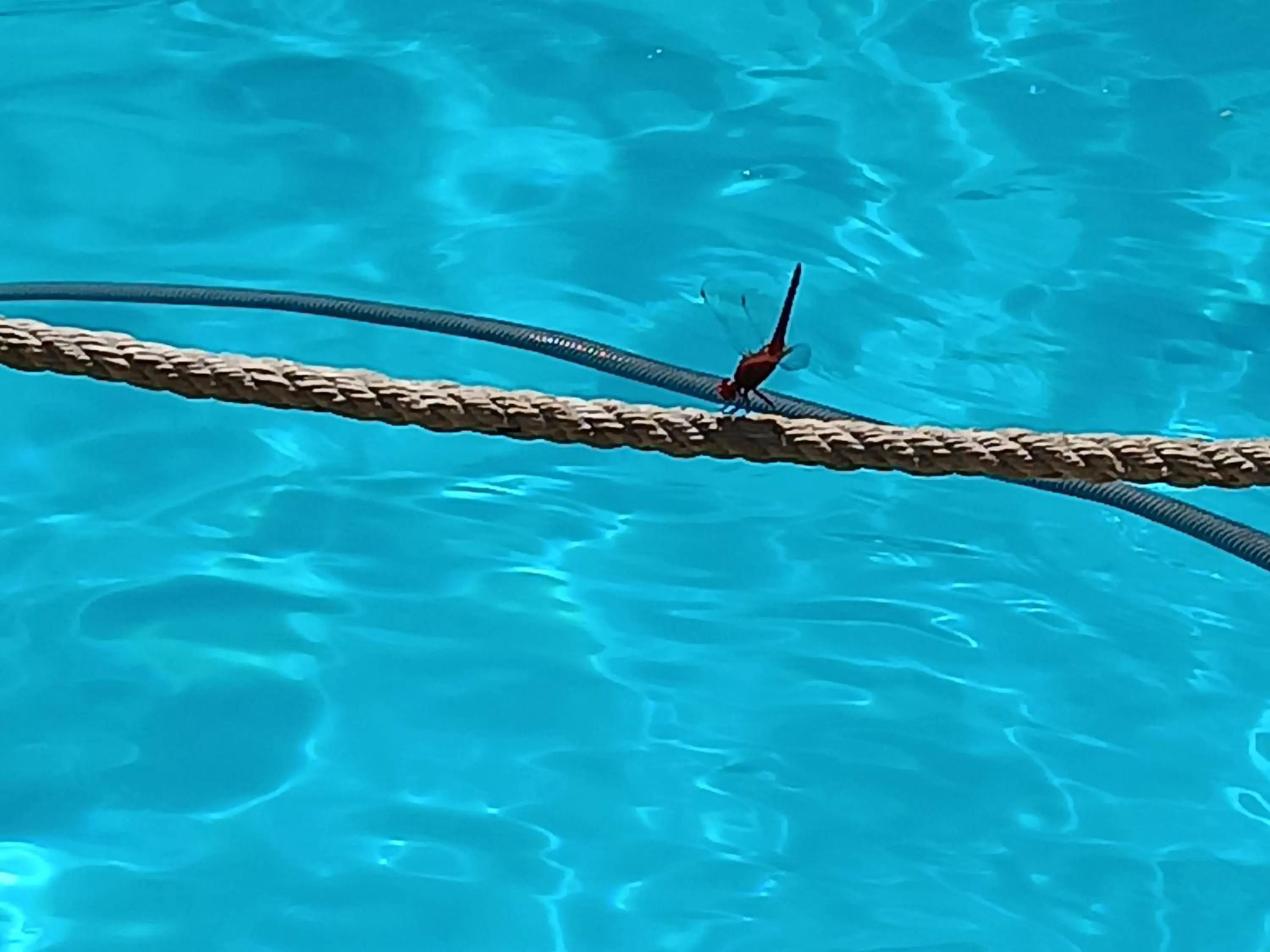 Renia Hotel Agia Pelagia -Crete