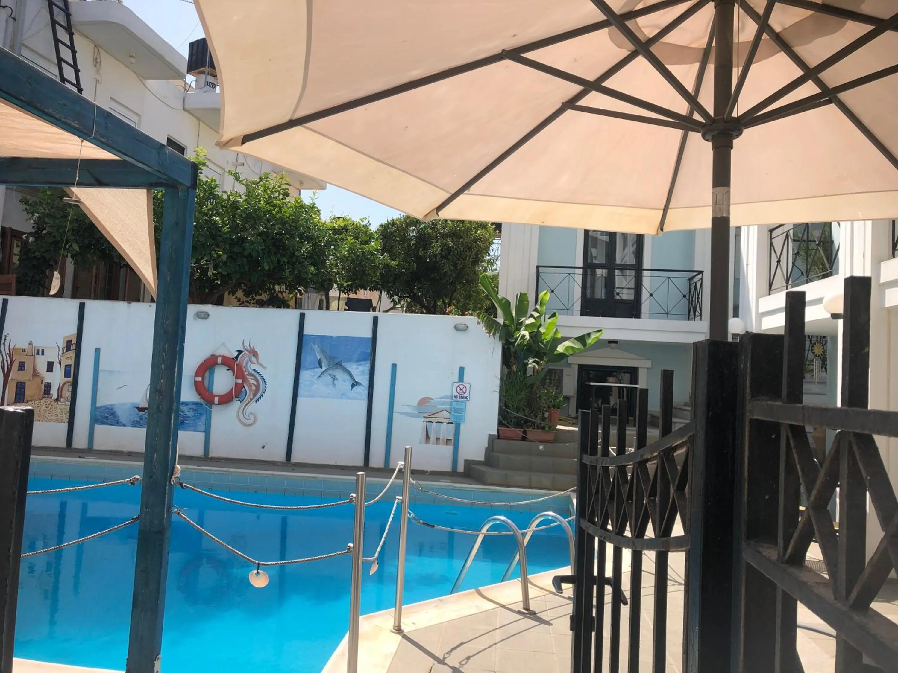 Swimming pool in Renia Hotel Agia Pelagia -Crete