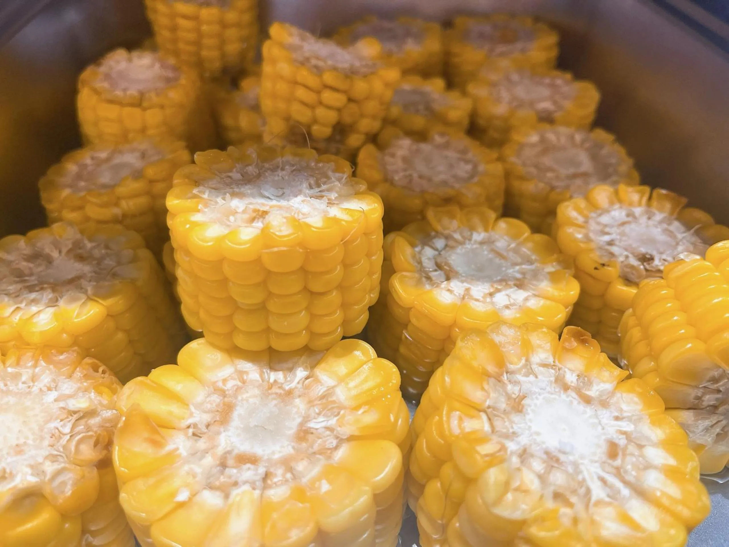 Restaurant/places to eat in Hotel Hoa Nắng