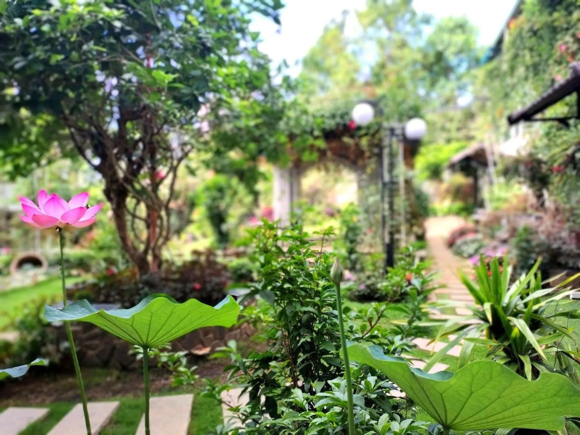 On site in Hotel Hoa Nắng