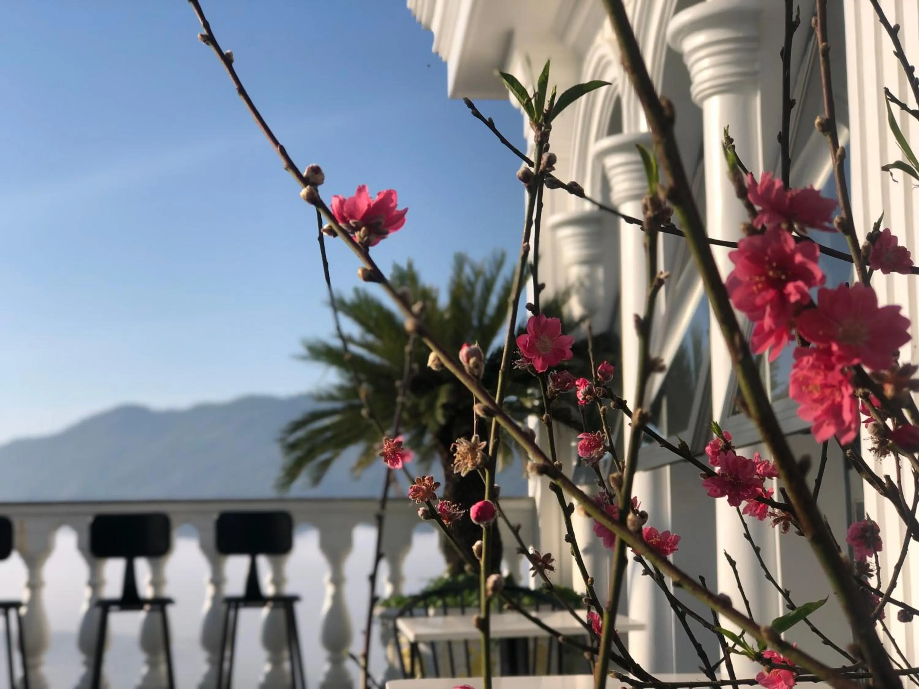 Lounge or bar in Hotel Hoa Nắng