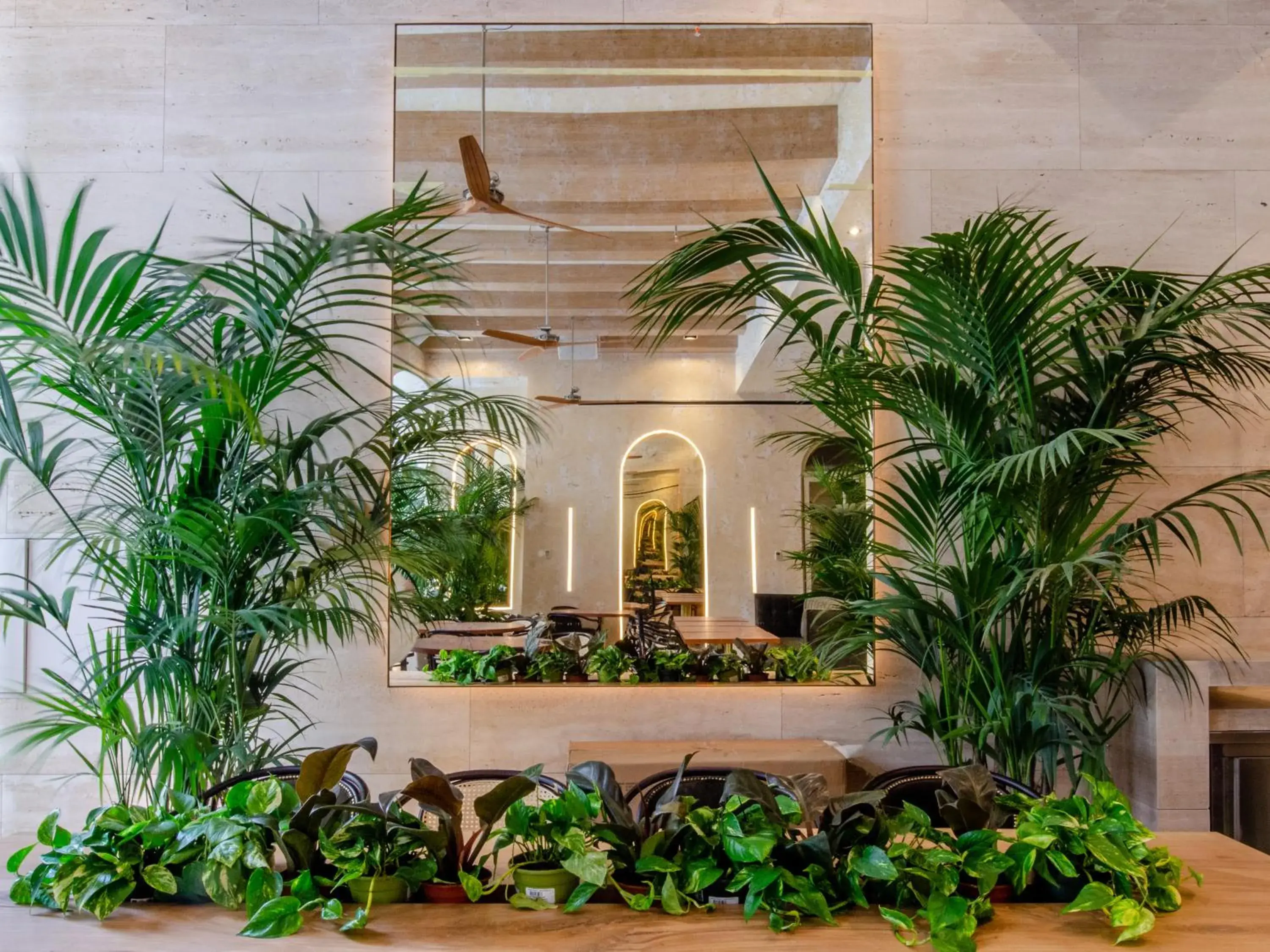 Restaurant/places to eat in Browns Avenue Hotel Restaurant/places to eat in Browns Avenue Hotel