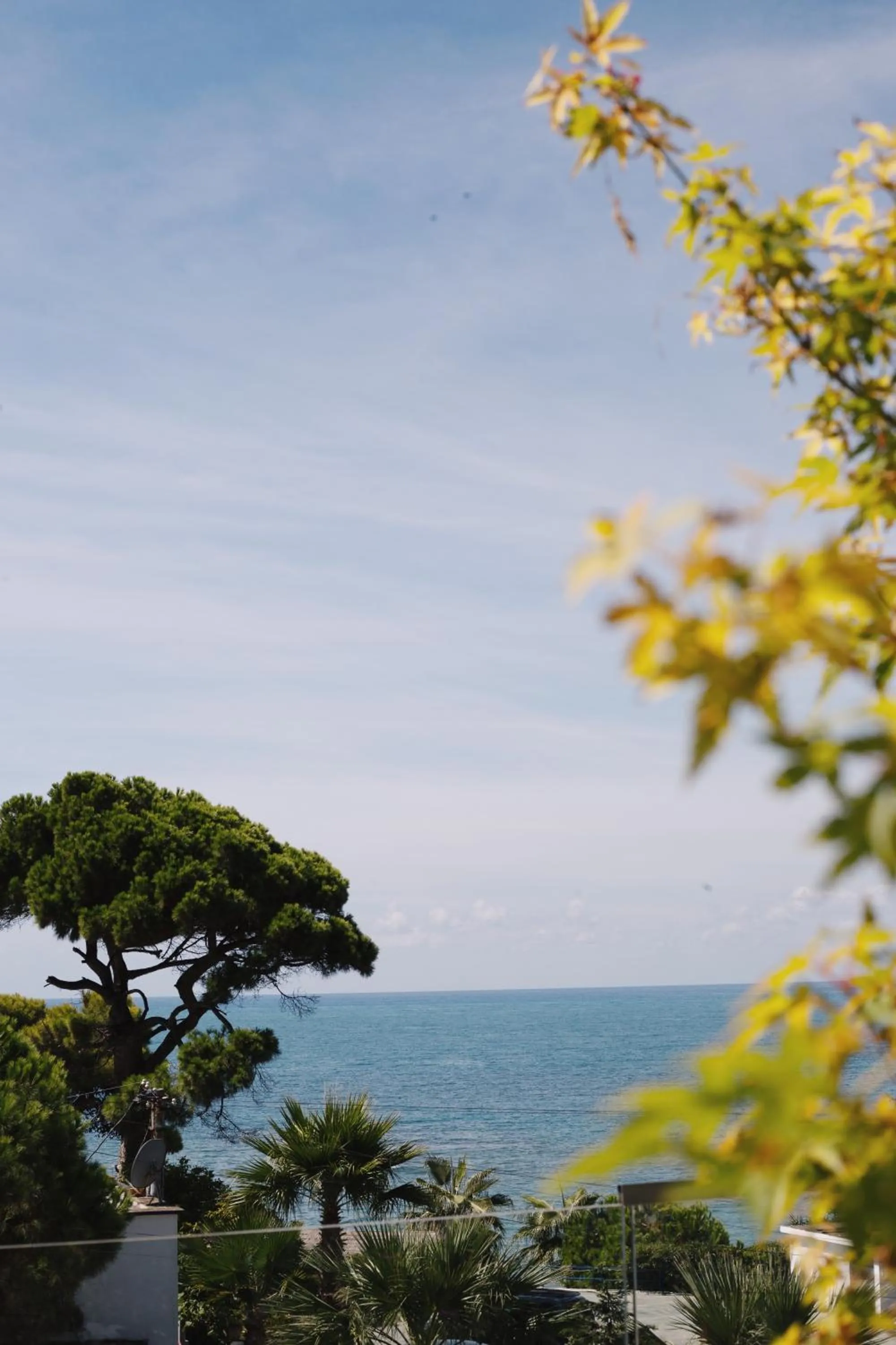 Natural landscape in White Hill Hotel, SPA & Conferences