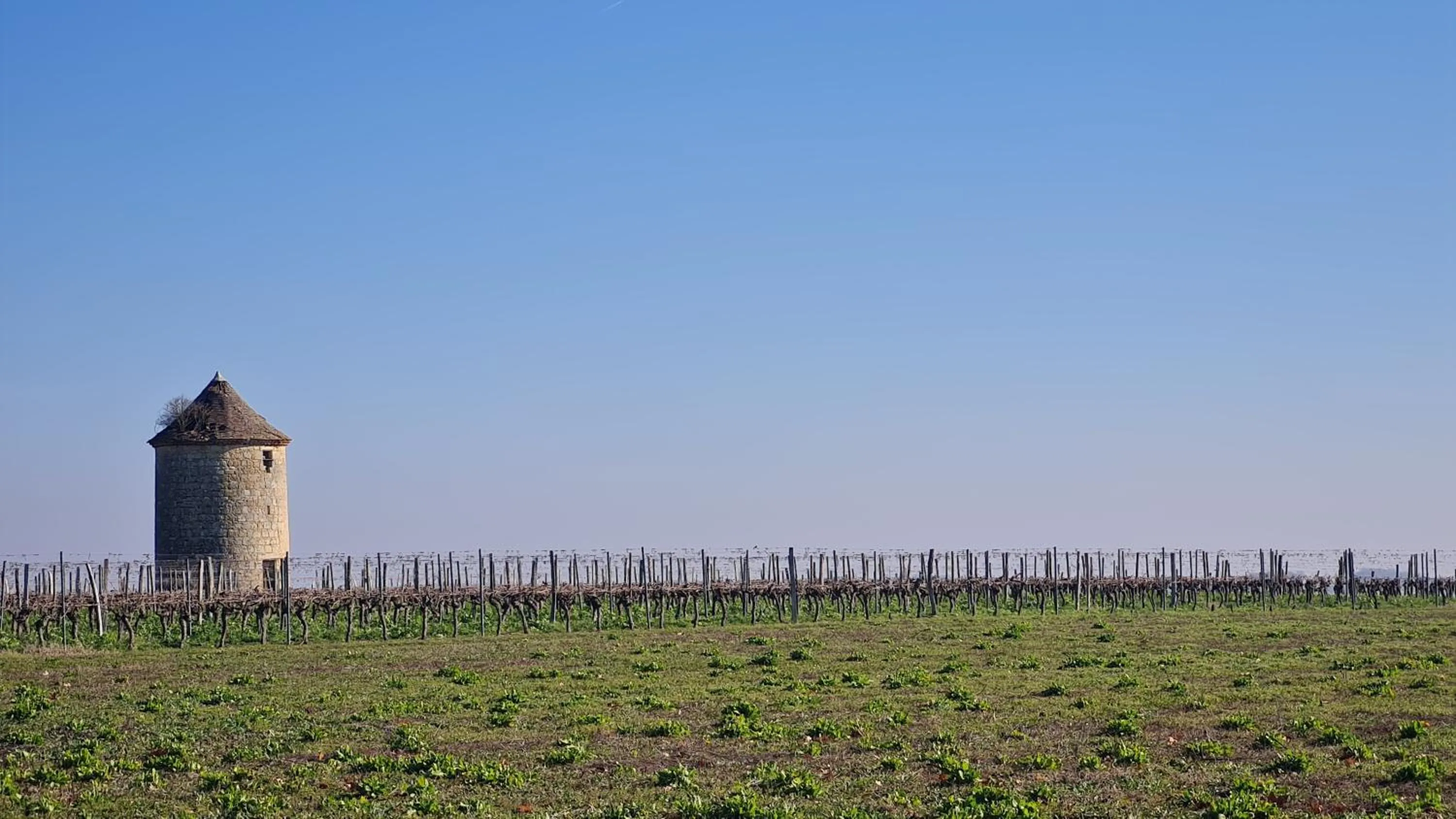 Garden view in Château de Mons Armagnac