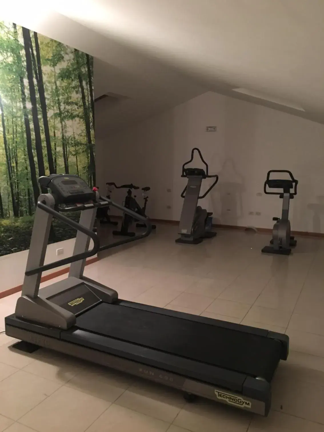 Fitness centre/facilities, Fitness Center/Facilities in Hotel Tre Ville