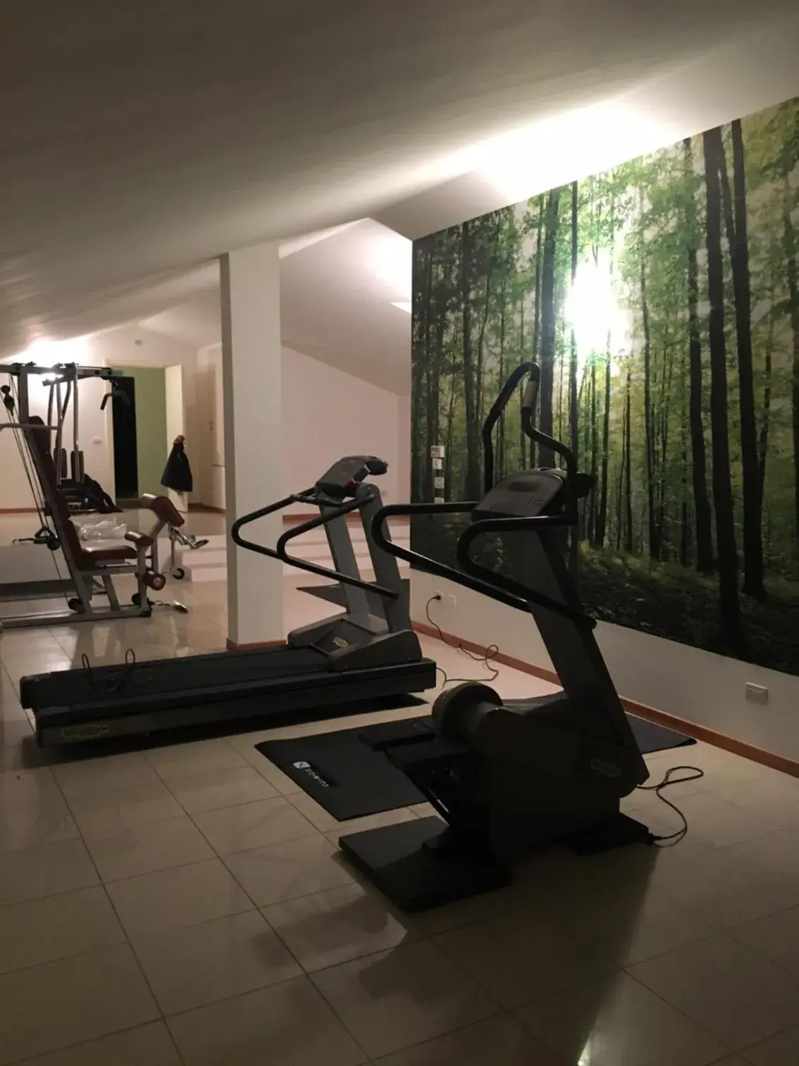 Activities, Fitness Center/Facilities in Hotel Tre Ville