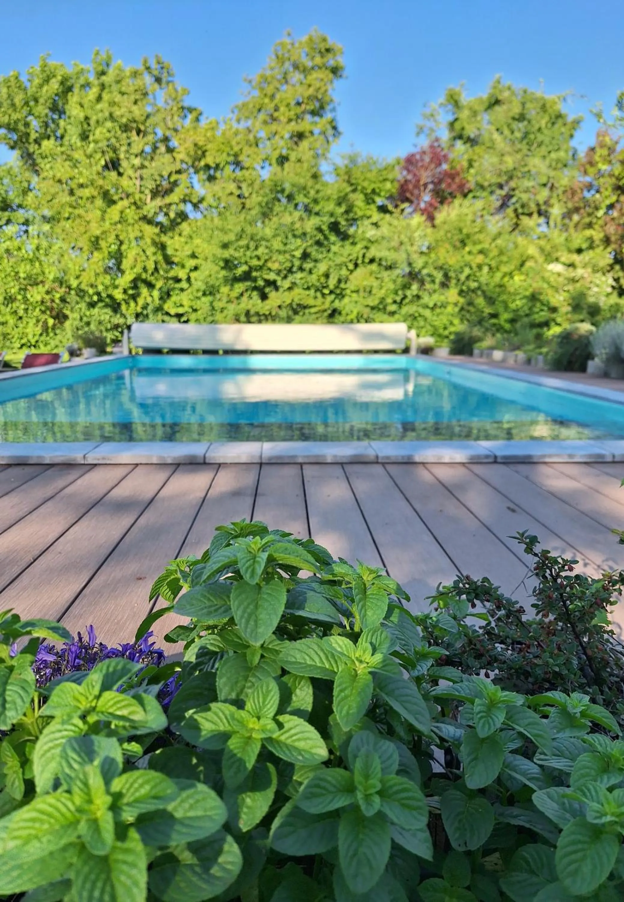 Pool view in Hotel Tre Ville
