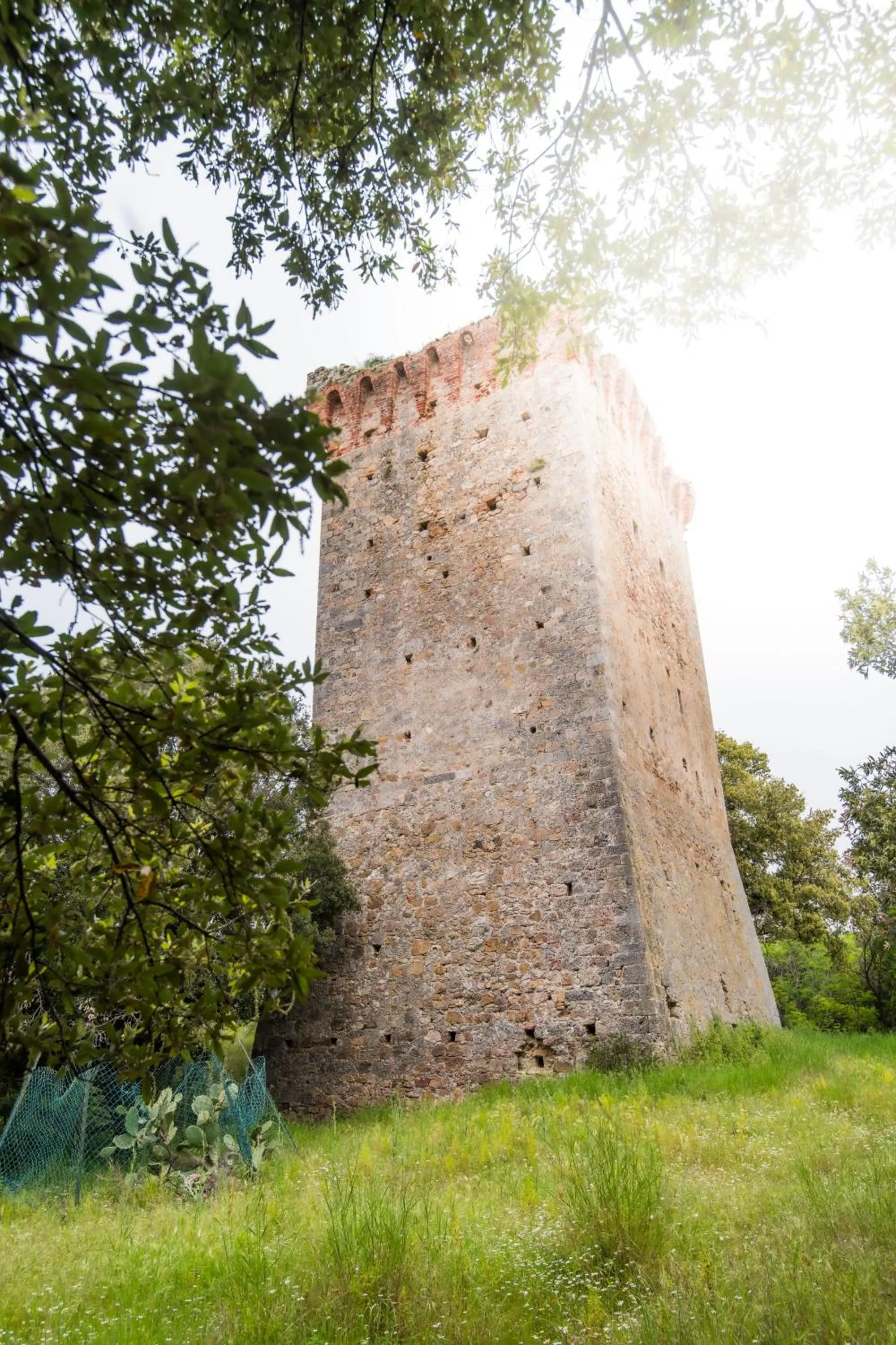Natural landscape in Tenuta Agricola dell'Uccellina